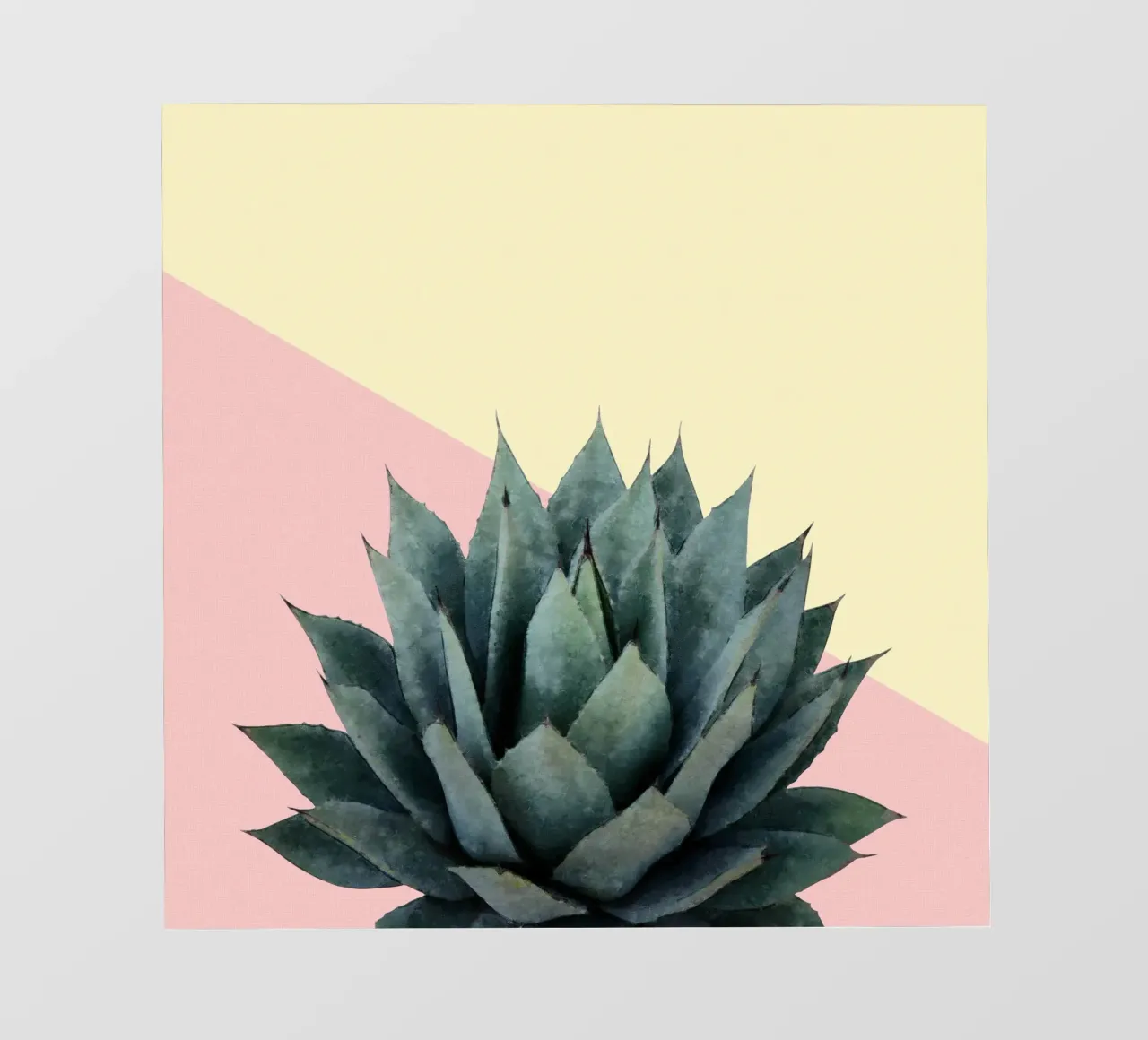Agave 04 pellicola backlit da amini54