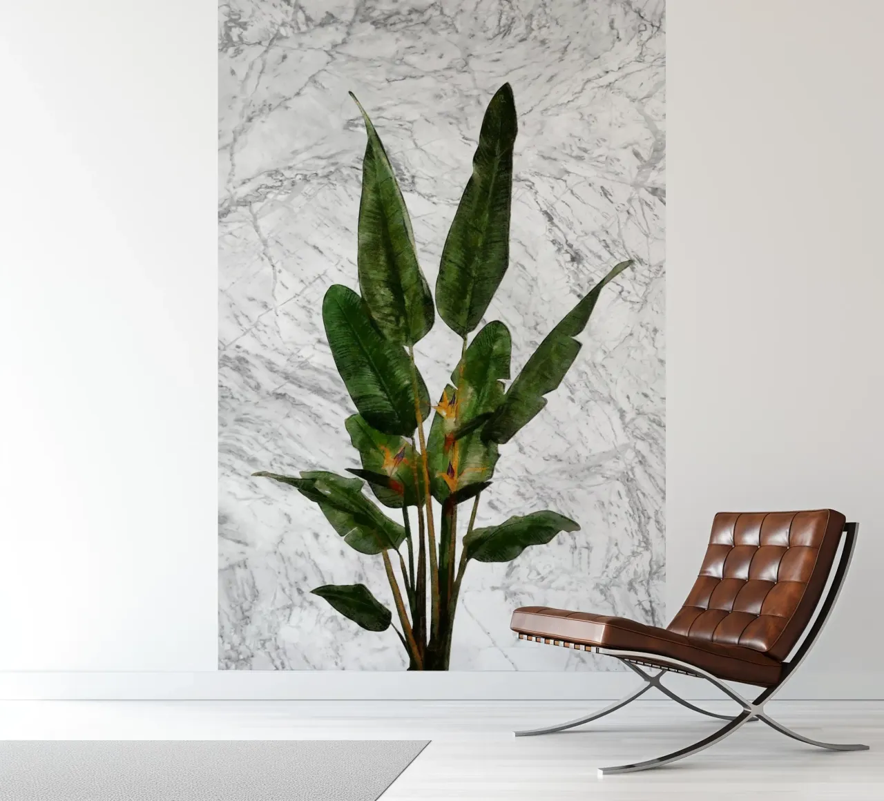 Bird of Paradise Plant on White Marble Wall photo wallpaper by amini54
