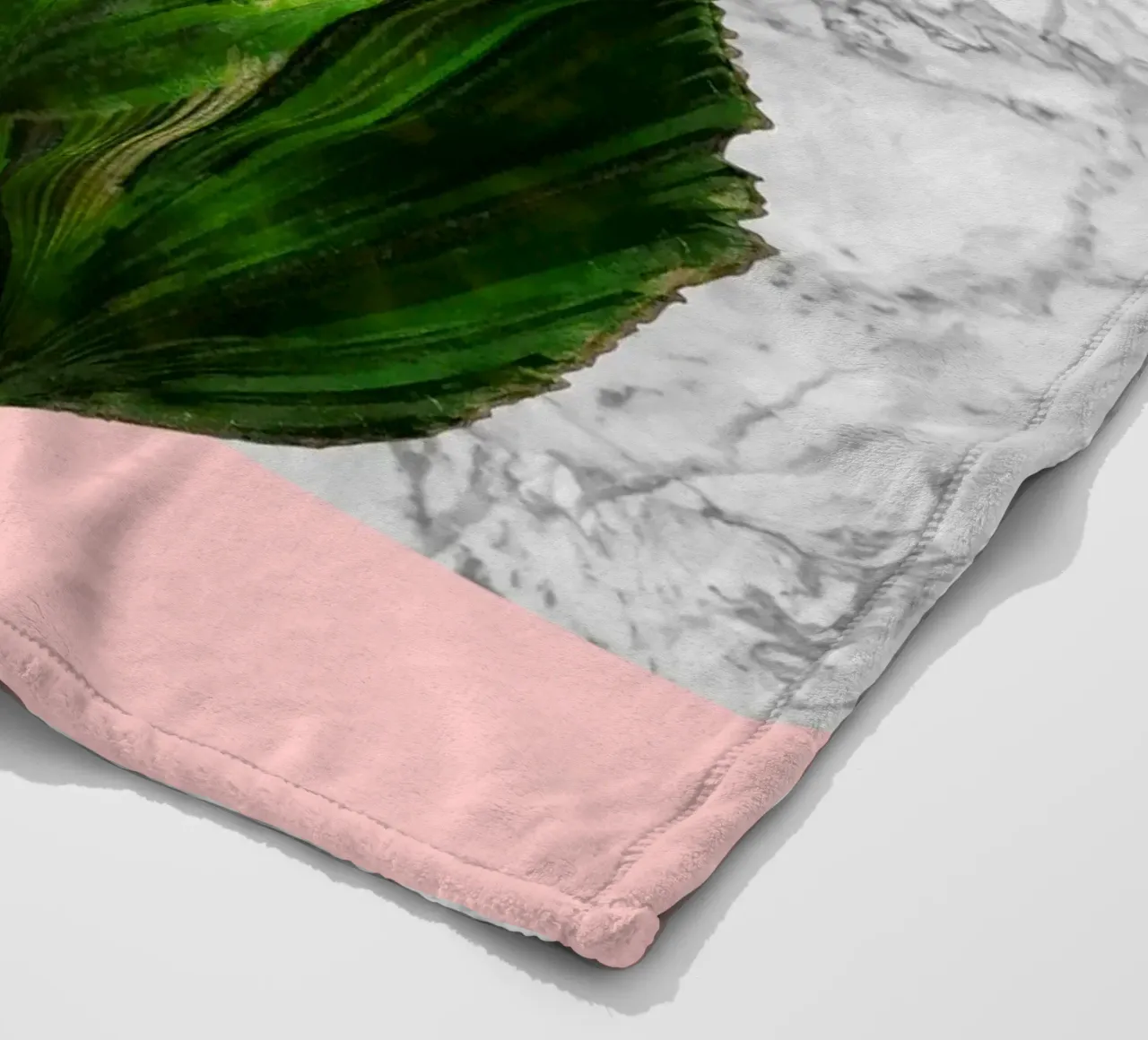 Pianta di palma su marmo bianco e parete rosa coperta in pile da amini54