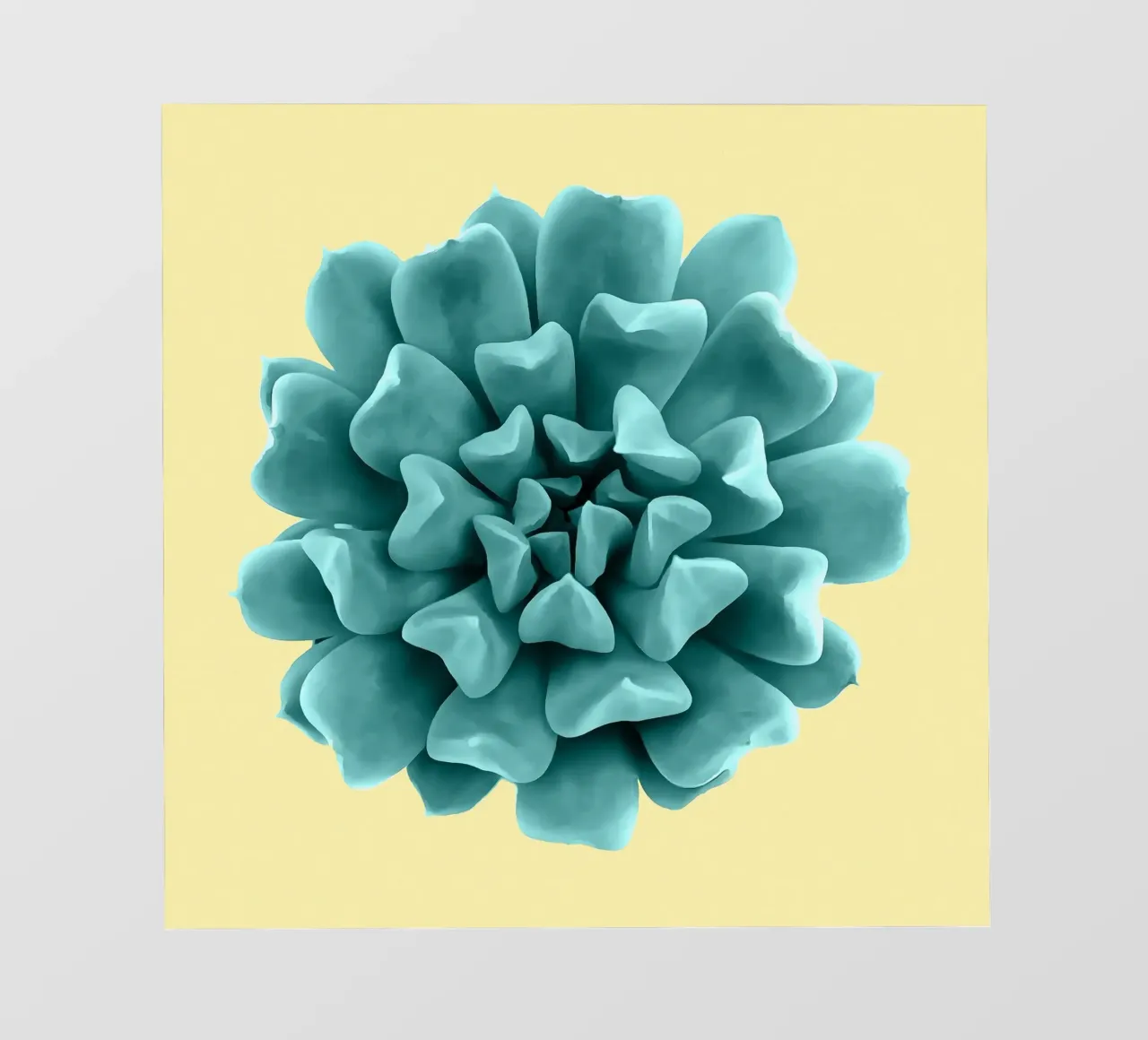 Succulente verde acqua su giallo telo in pvc da amini54