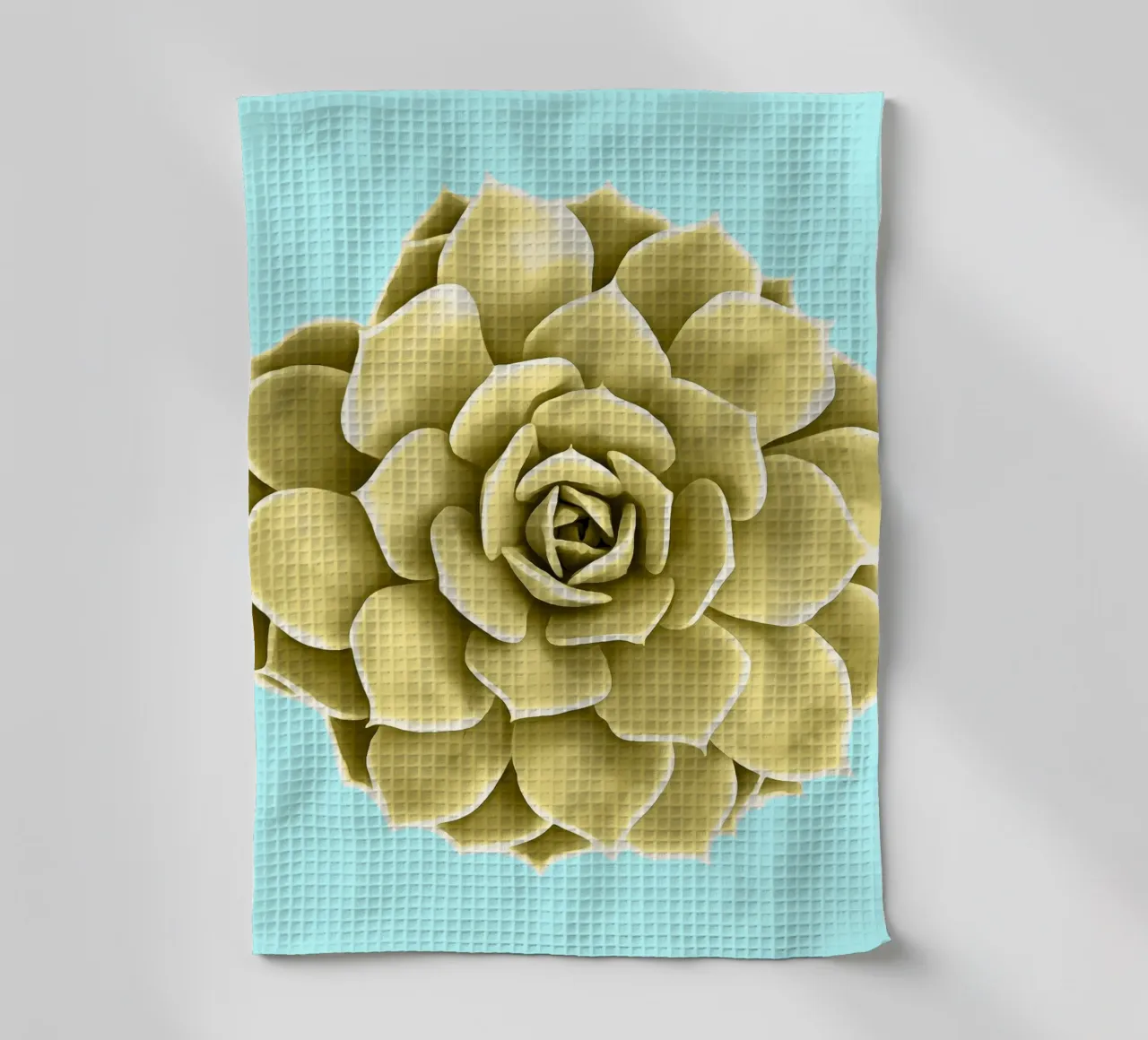 Succulente jaune sur fond bleu torchon de amini54