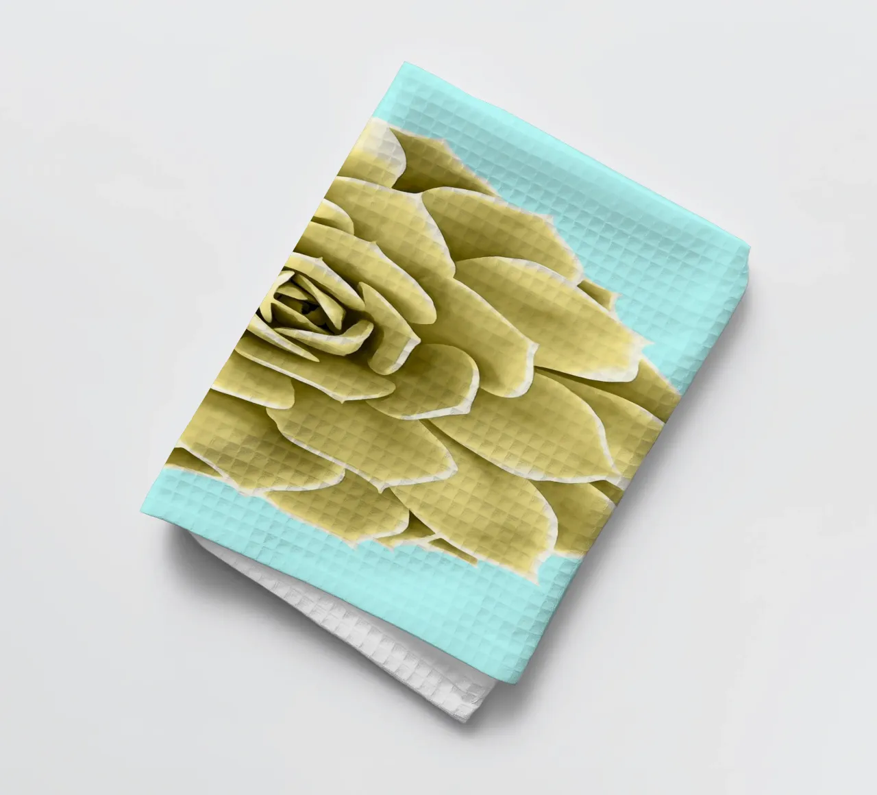 Succulente jaune sur fond bleu torchon de amini54