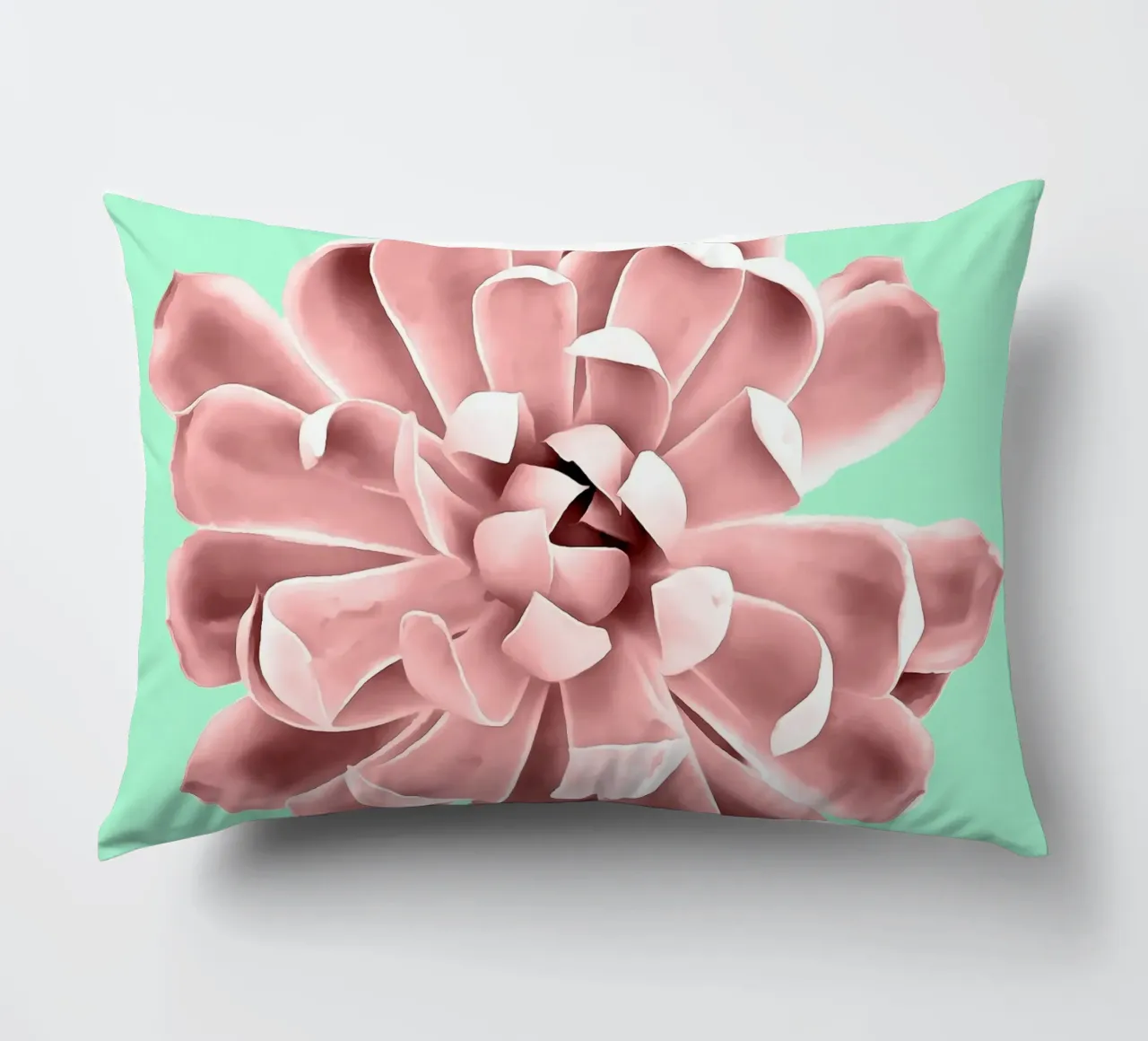 Succulente rosa su parete verde acqua cuscino da amini54