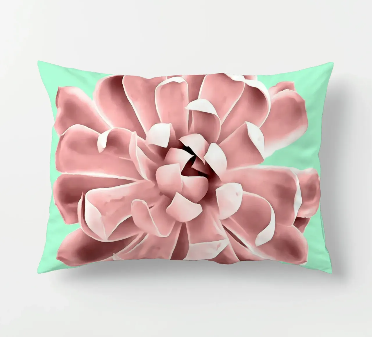 Succulente rosa su parete verde acqua cuscino da amini54