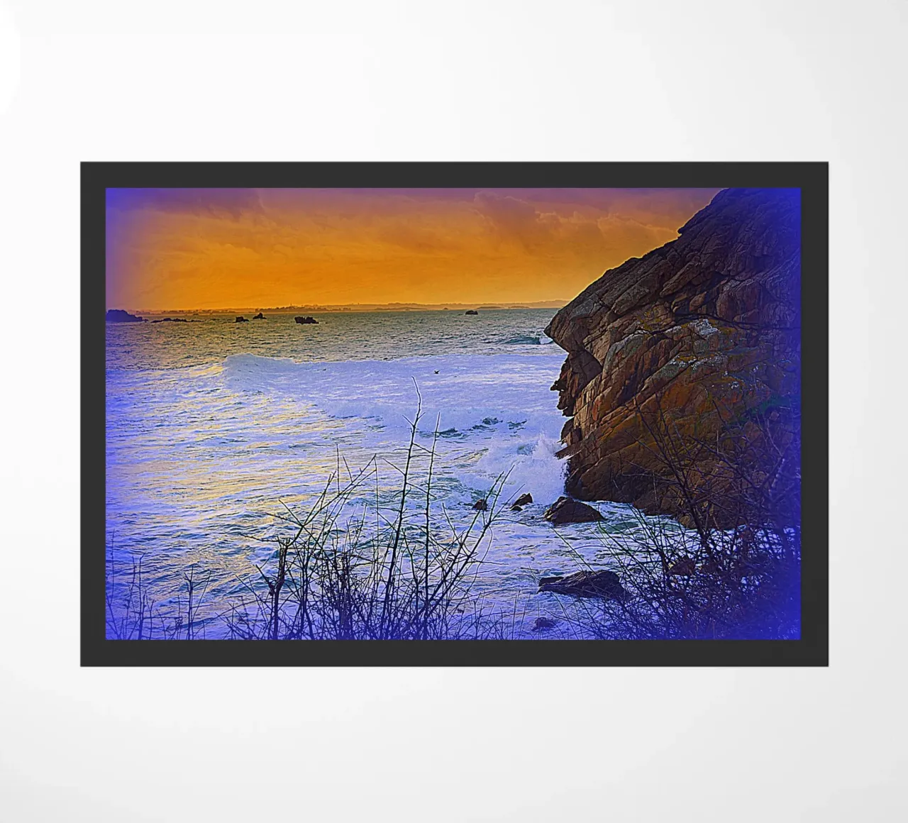 FAA83 zerbino da Thierry vobmann photography