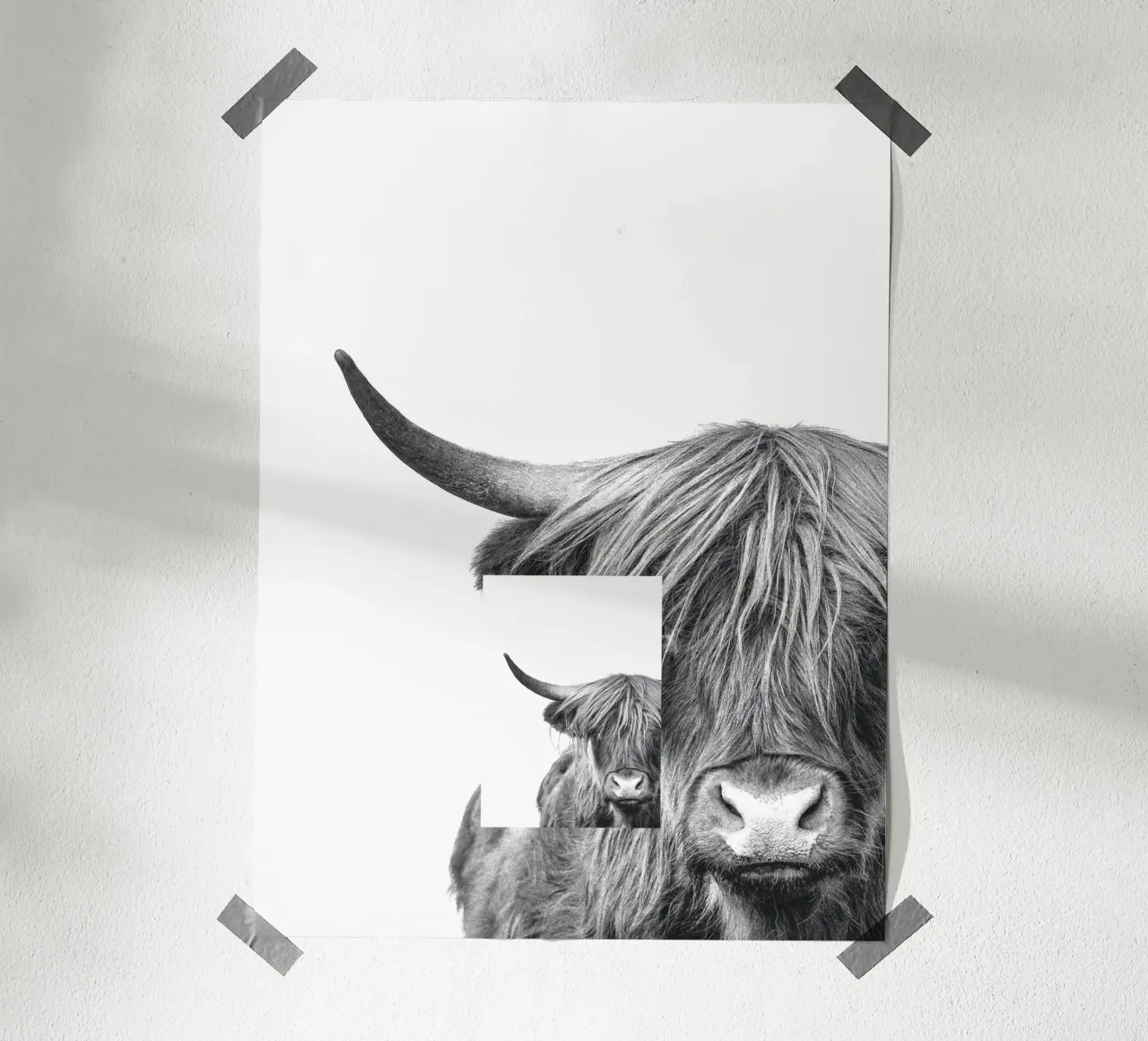 Disegno monocromatico di una mucca delle Highlands - Murale elegante poster con telaio in alluminio da Whole©