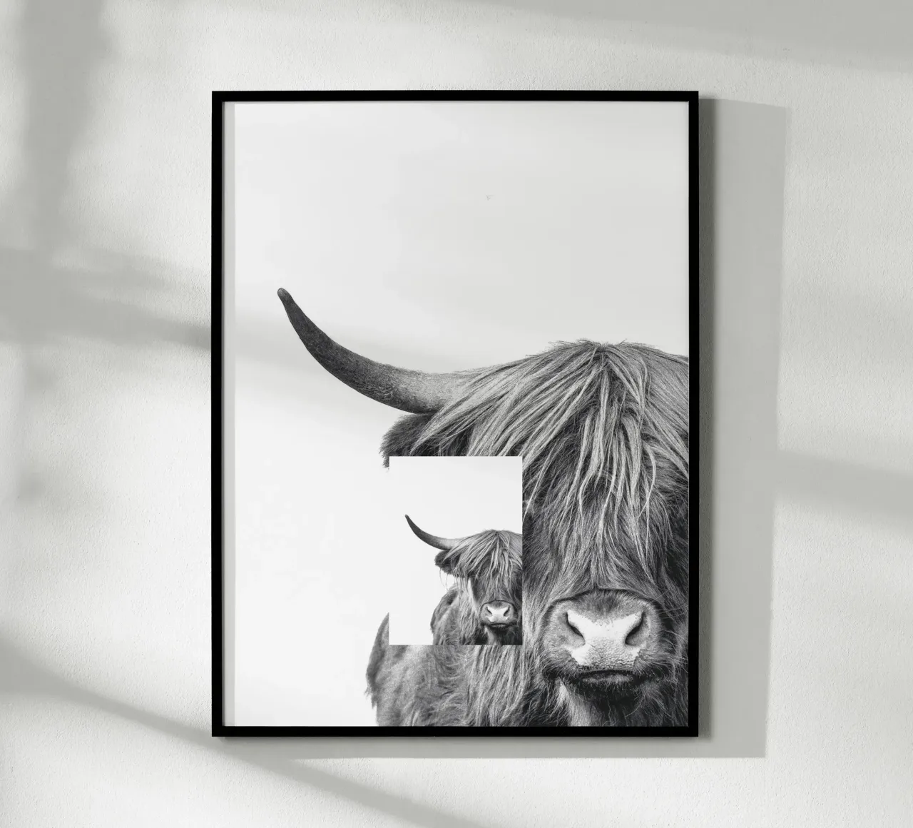 Disegno monocromatico di una mucca delle Highlands - Murale elegante poster con telaio in alluminio da Whole©