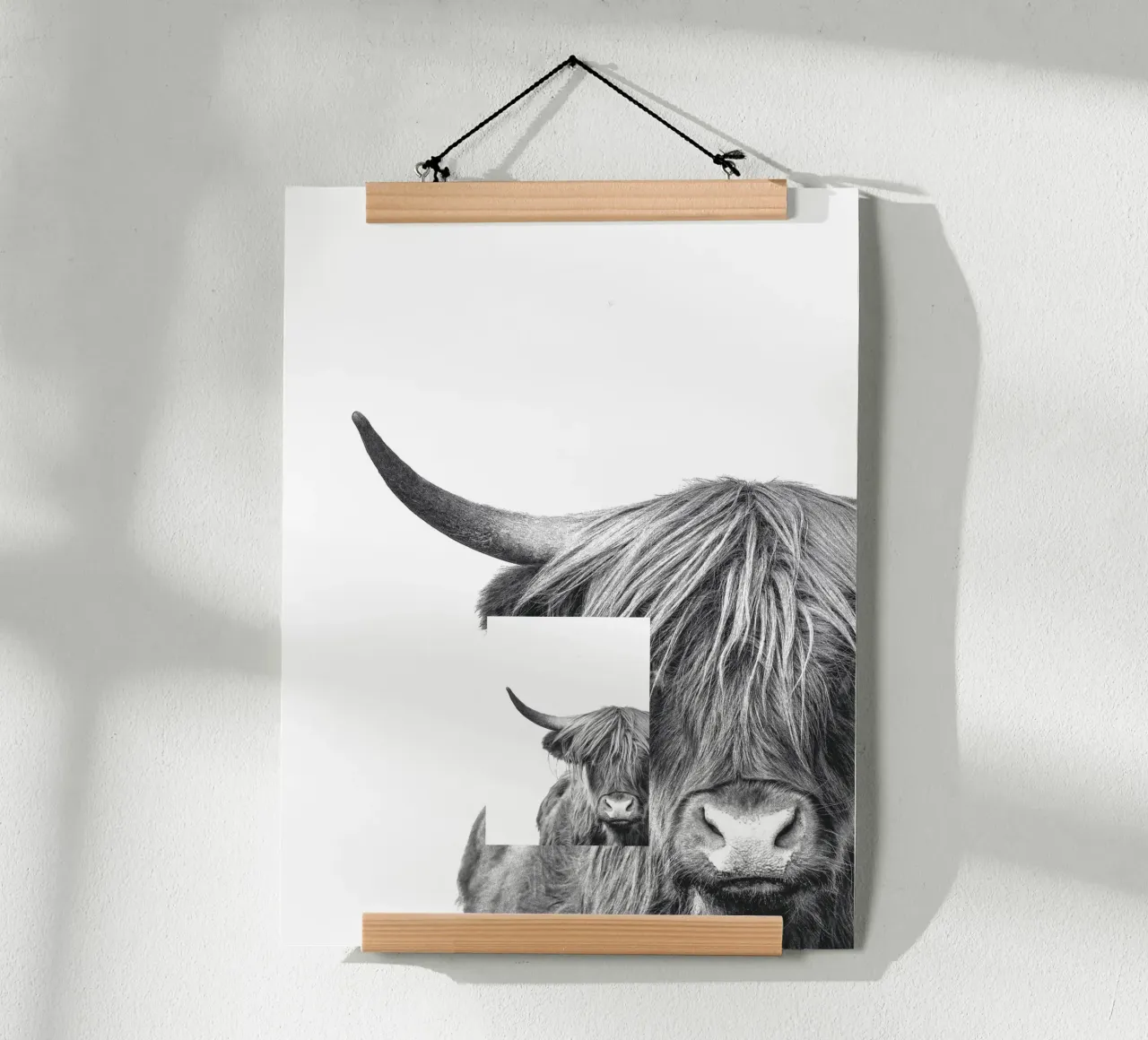 Disegno monocromatico di una mucca delle Highlands - Murale elegante poster con telaio in alluminio da Whole©