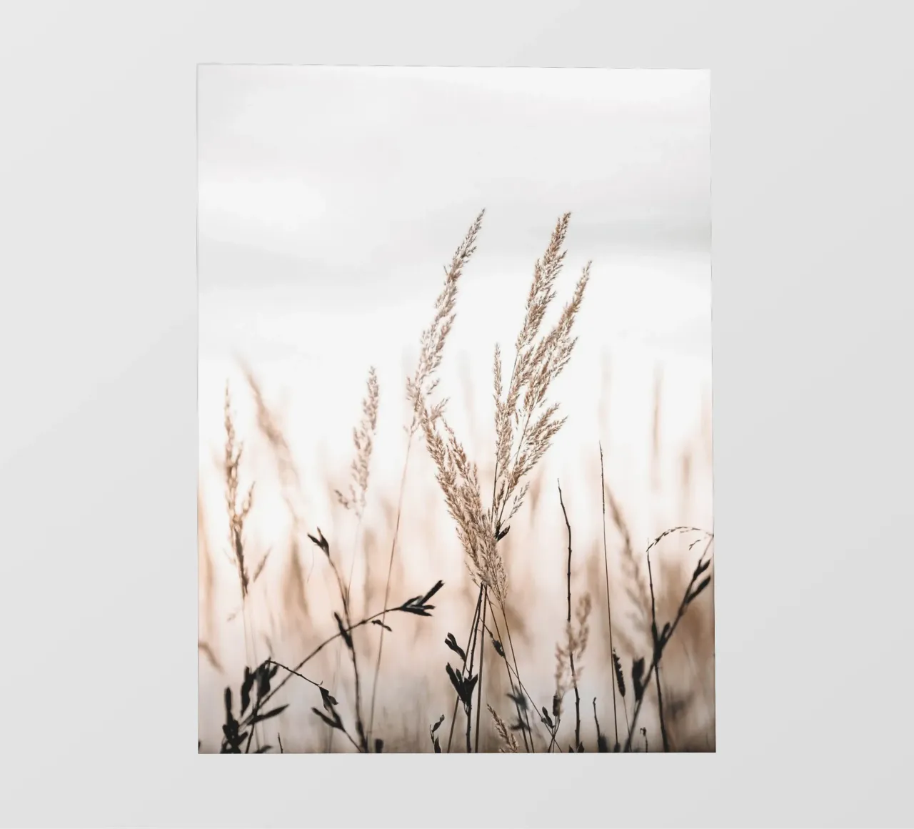 Erbe delicate nella luce del mattino - Design naturale telo in pvc da Whole©
