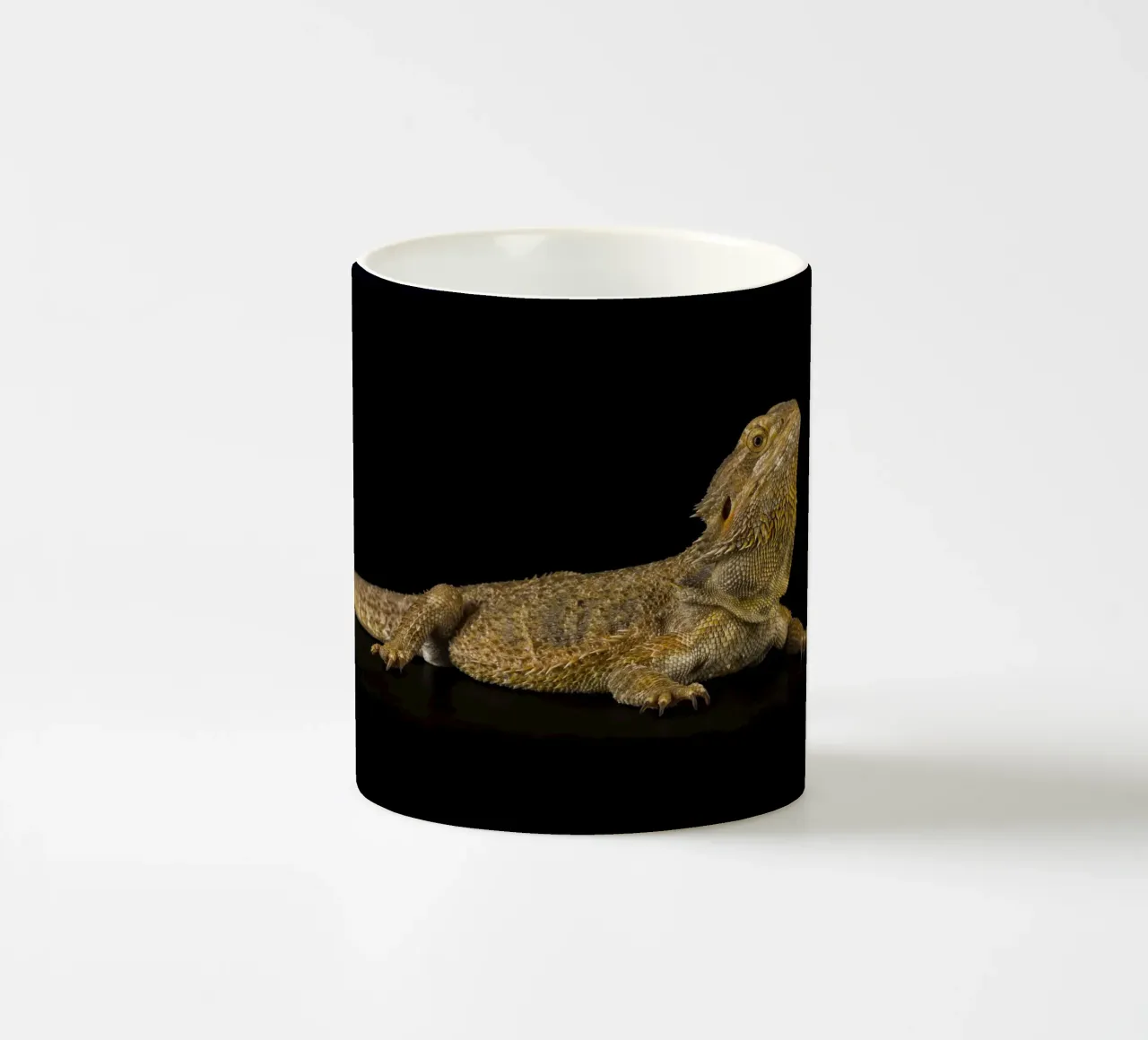 Drago barbuto tazza in ceramica da Curious Collections by Marielle Leenders