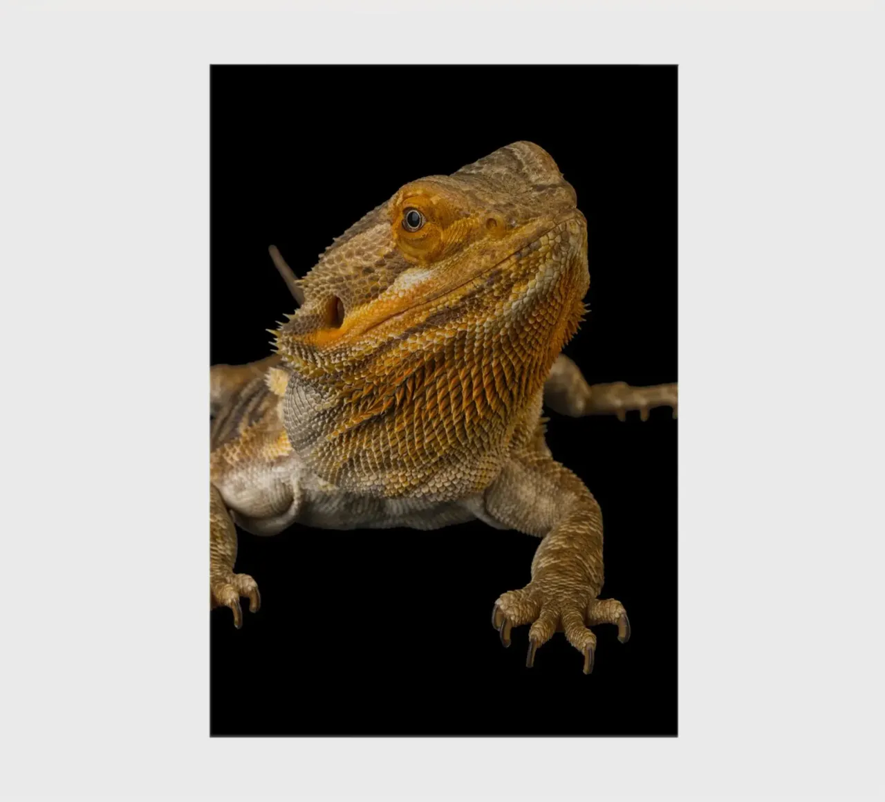 Bearded Dragon Poster, capturing the unique beauty and perso notebook by Curious Collections by Marielle Leenders