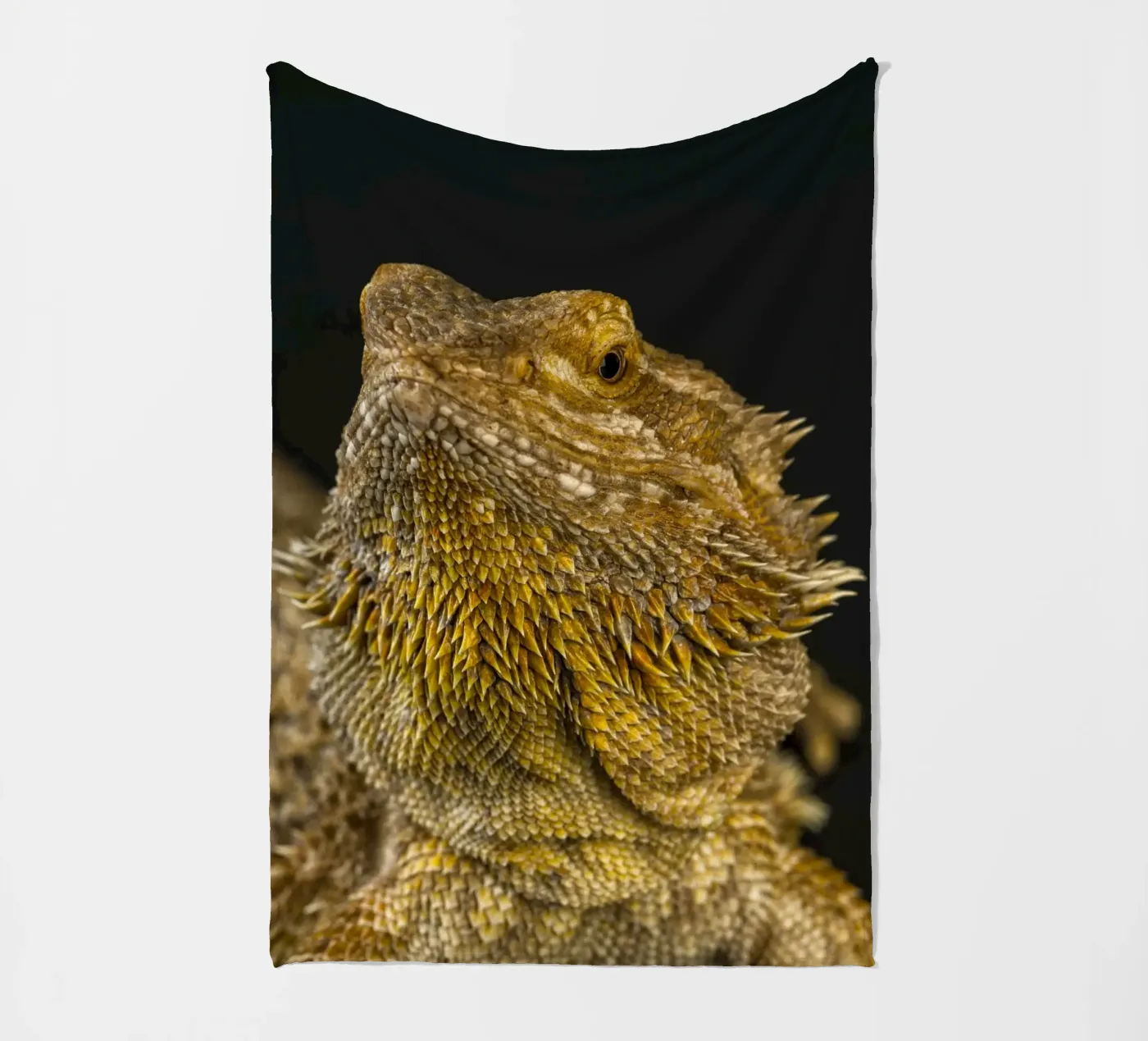Bearded Dragon fleece blanket by Curious Collections by Marielle Leenders