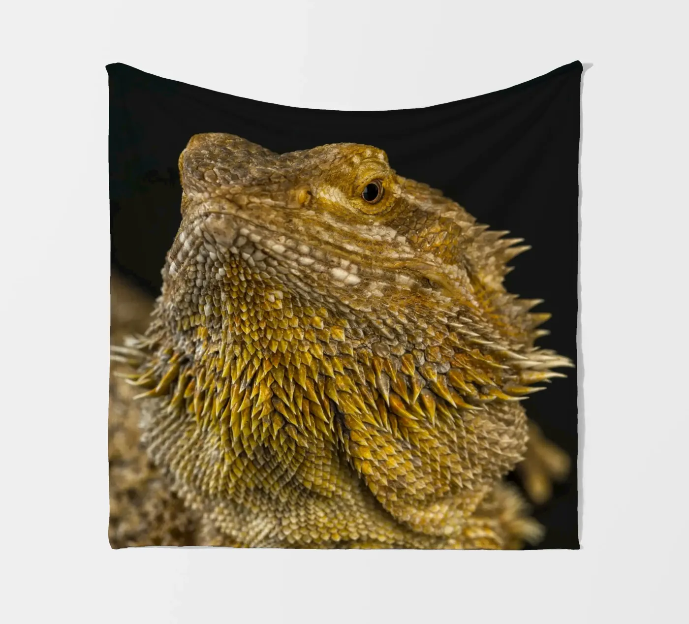 Bearded Dragon Fleecedecke von Curious Collections by Marielle Leenders
