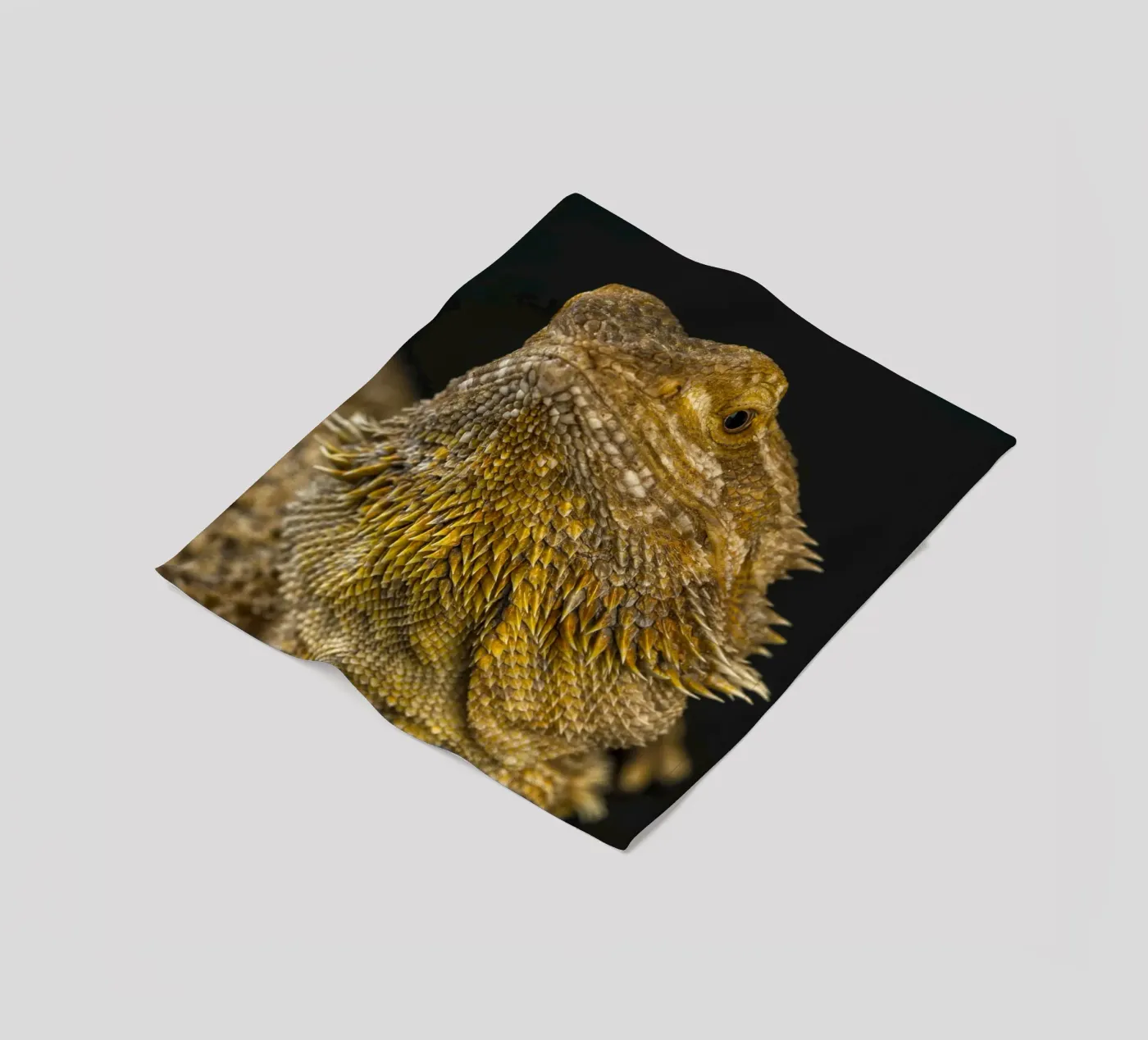 Bearded Dragon Fleecedecke von Curious Collections by Marielle Leenders