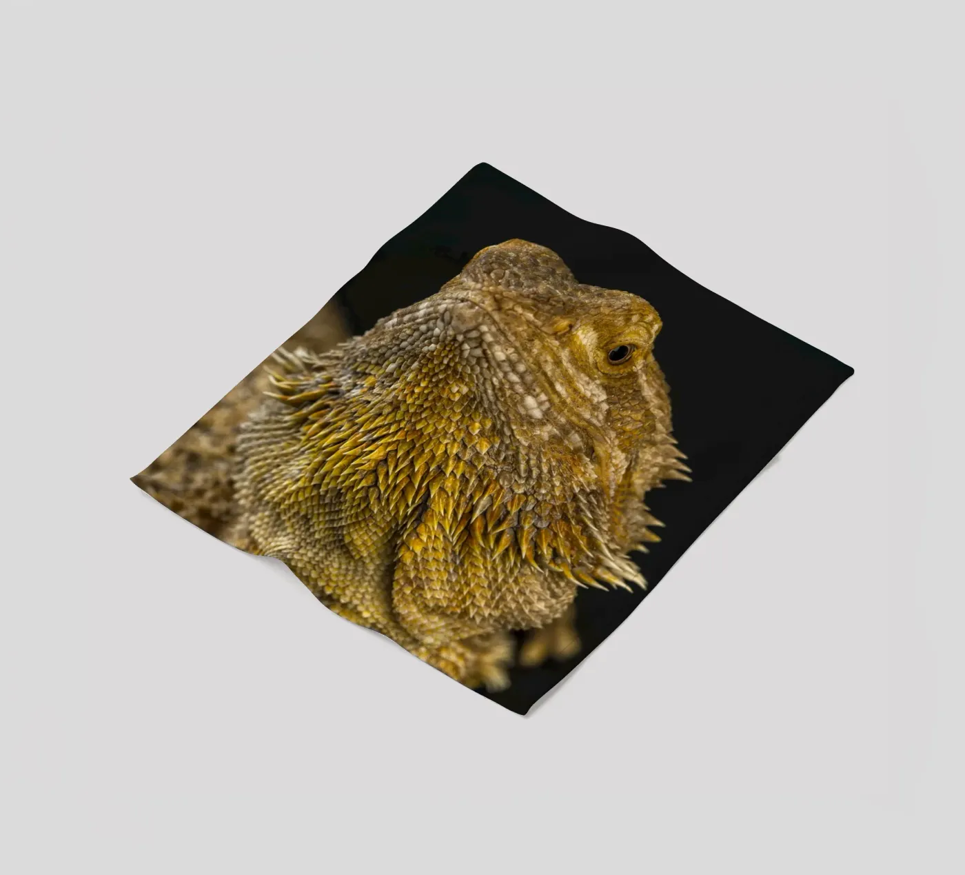 Bearded Dragon fleece blanket by Curious Collections by Marielle Leenders