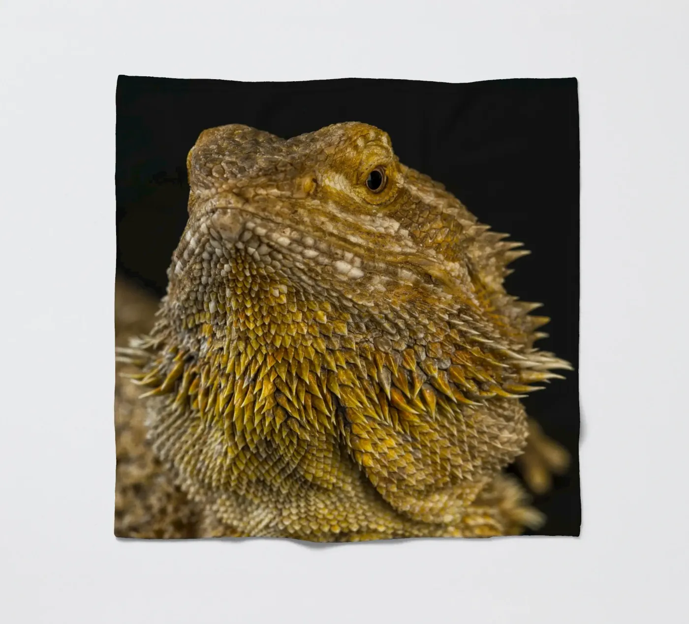 Bearded Dragon fleece blanket by Curious Collections by Marielle Leenders