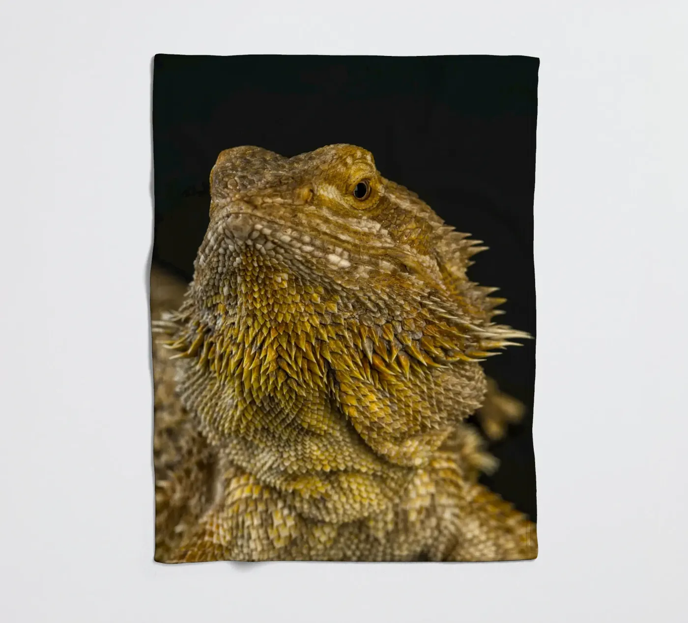 Bearded Dragon fleece blanket by Curious Collections by Marielle Leenders