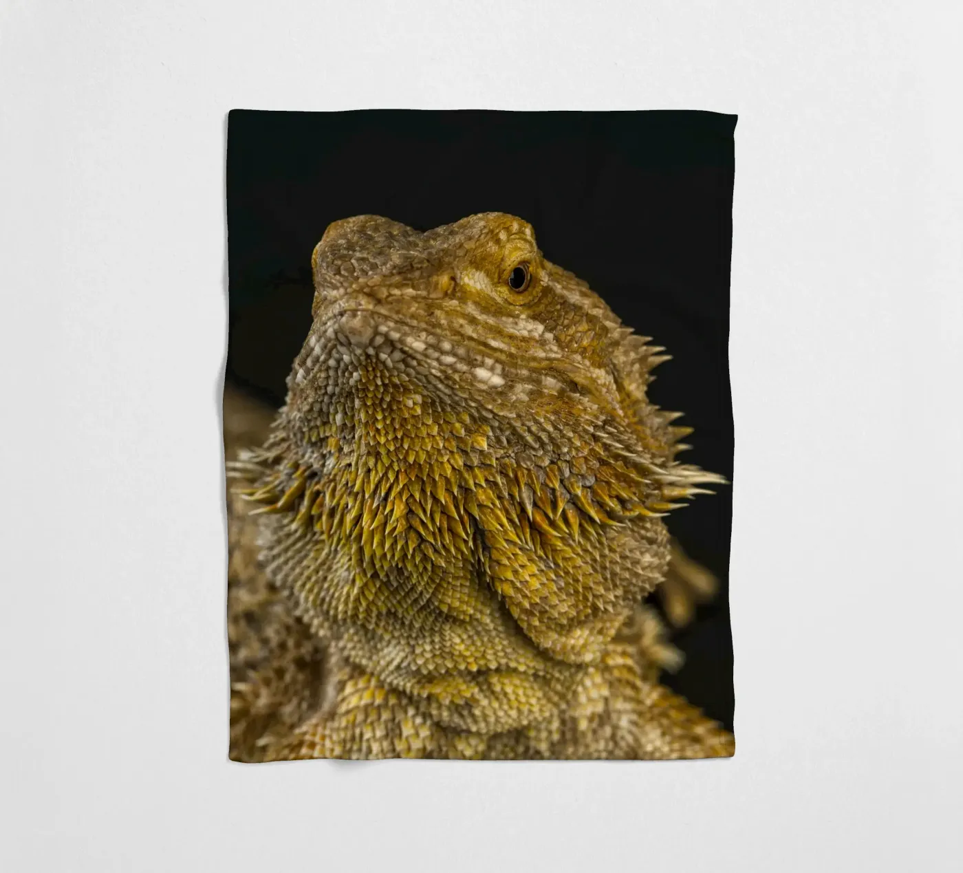 Bearded Dragon fleece blanket by Curious Collections by Marielle Leenders