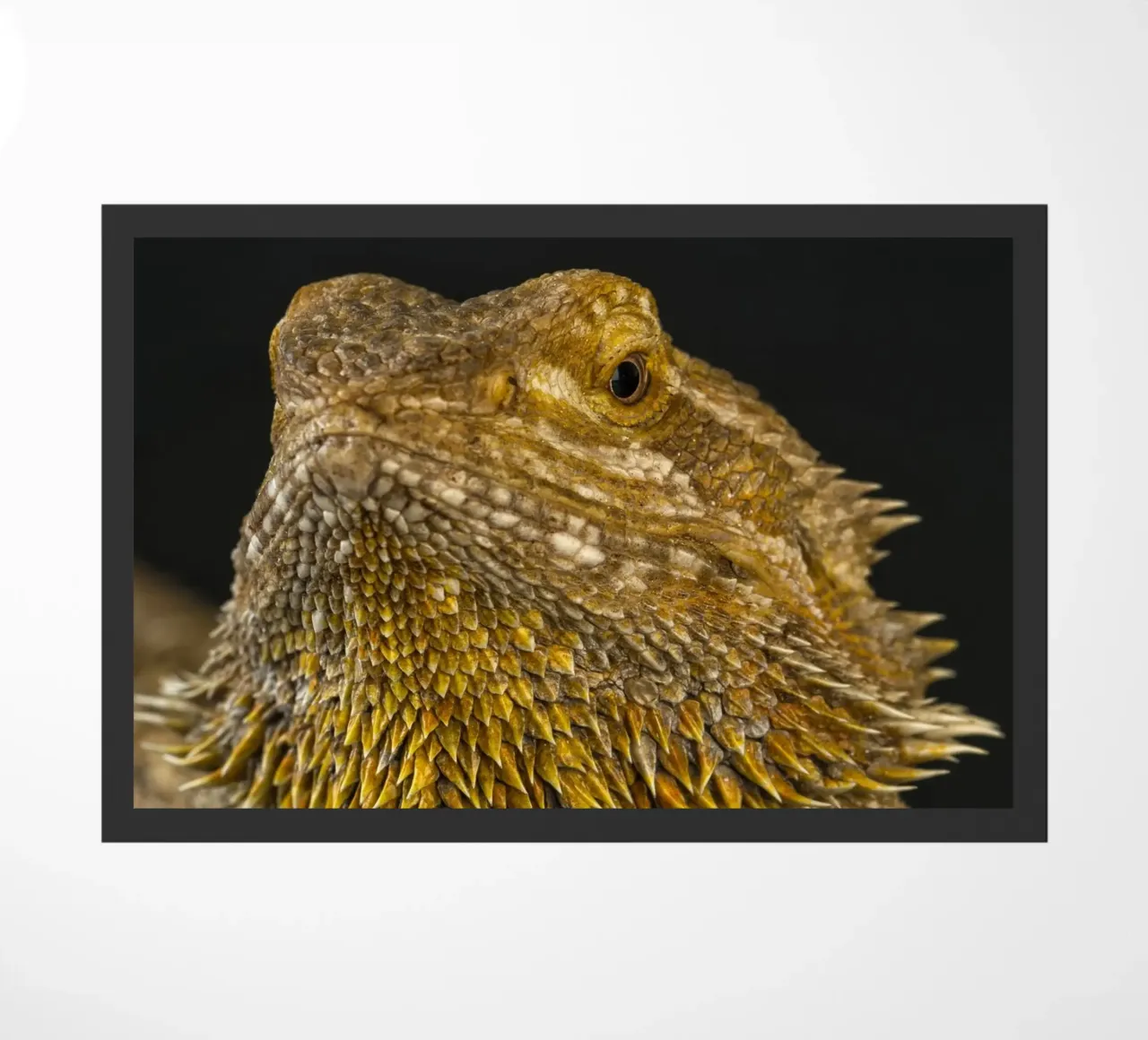 Bearded Dragon doormat by Curious Collections by Marielle Leenders