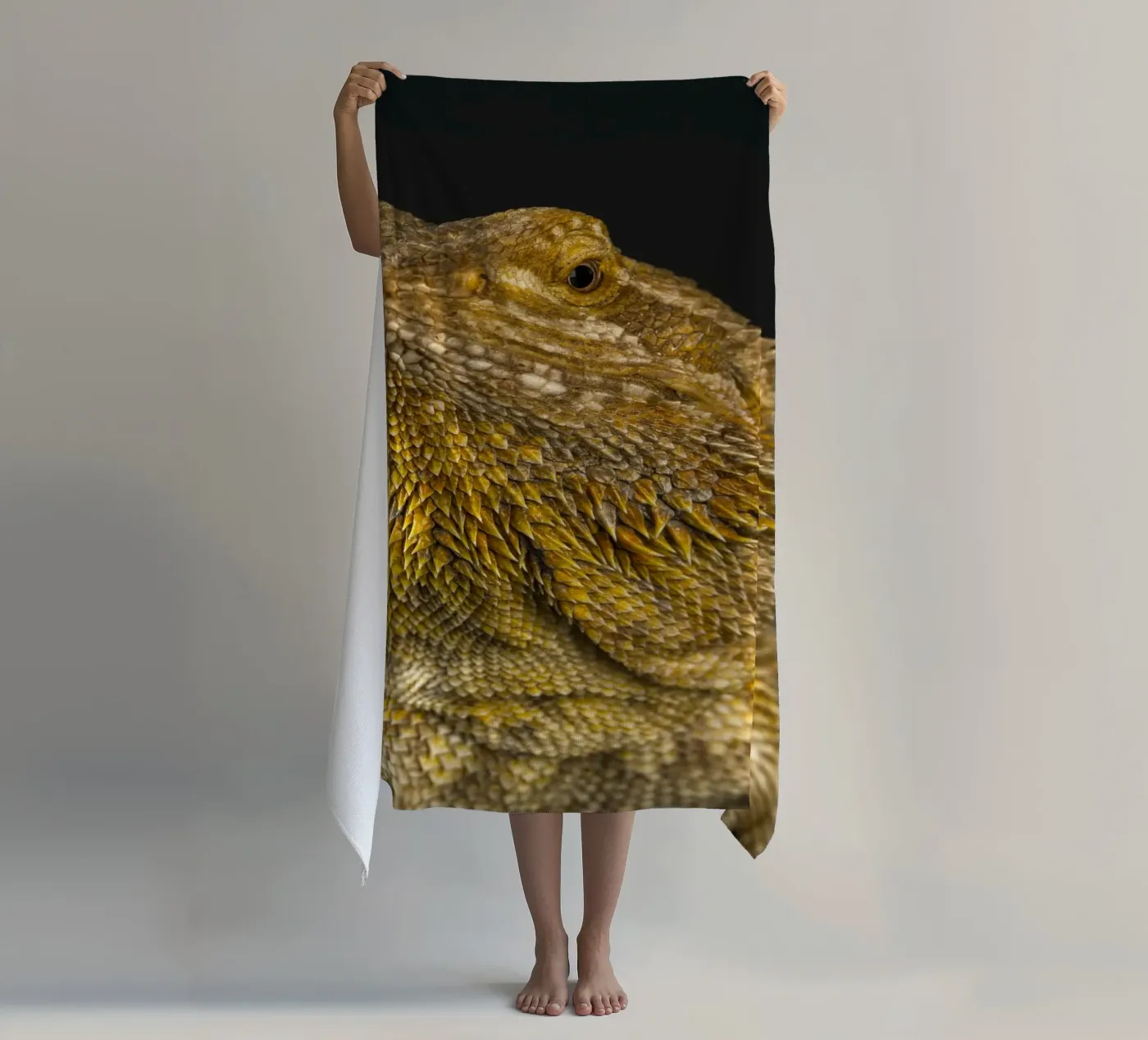 Drago barbuto telo mare da Curious Collections by Marielle Leenders