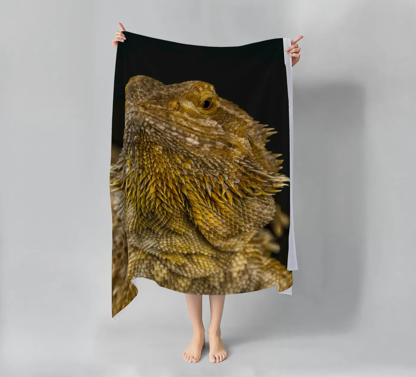 Drago barbuto telo mare da Curious Collections by Marielle Leenders