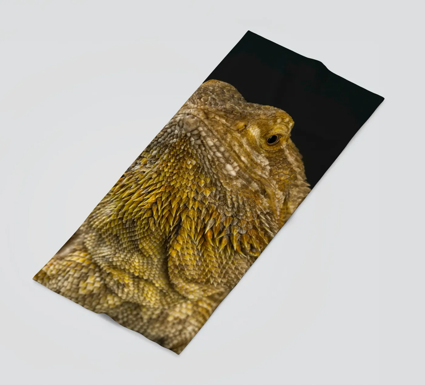 Drago barbuto telo mare da Curious Collections by Marielle Leenders