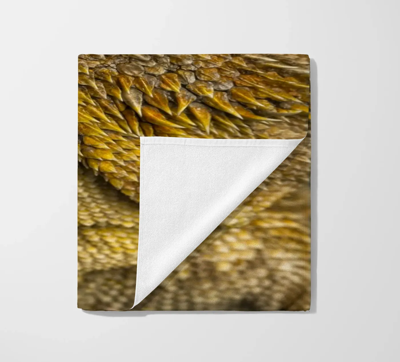 Drago barbuto telo mare da Curious Collections by Marielle Leenders