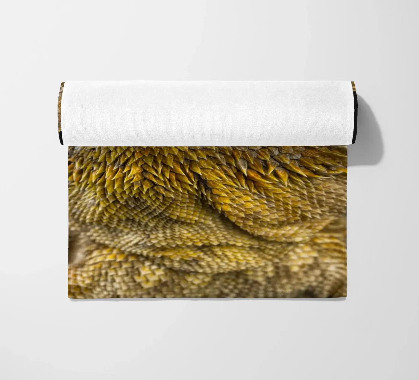 Drago barbuto telo mare da Curious Collections by Marielle Leenders