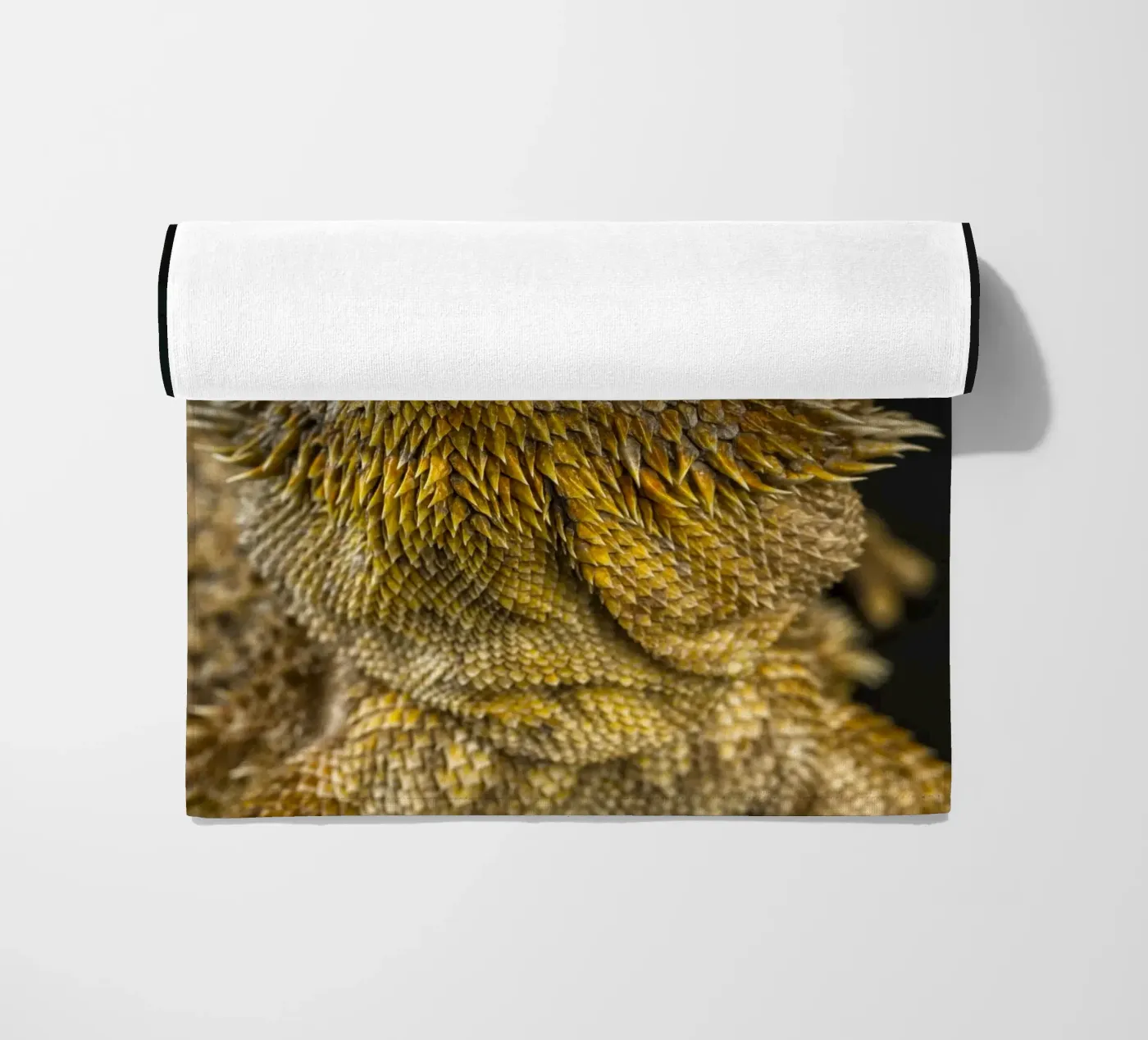 Drago barbuto telo mare da Curious Collections by Marielle Leenders