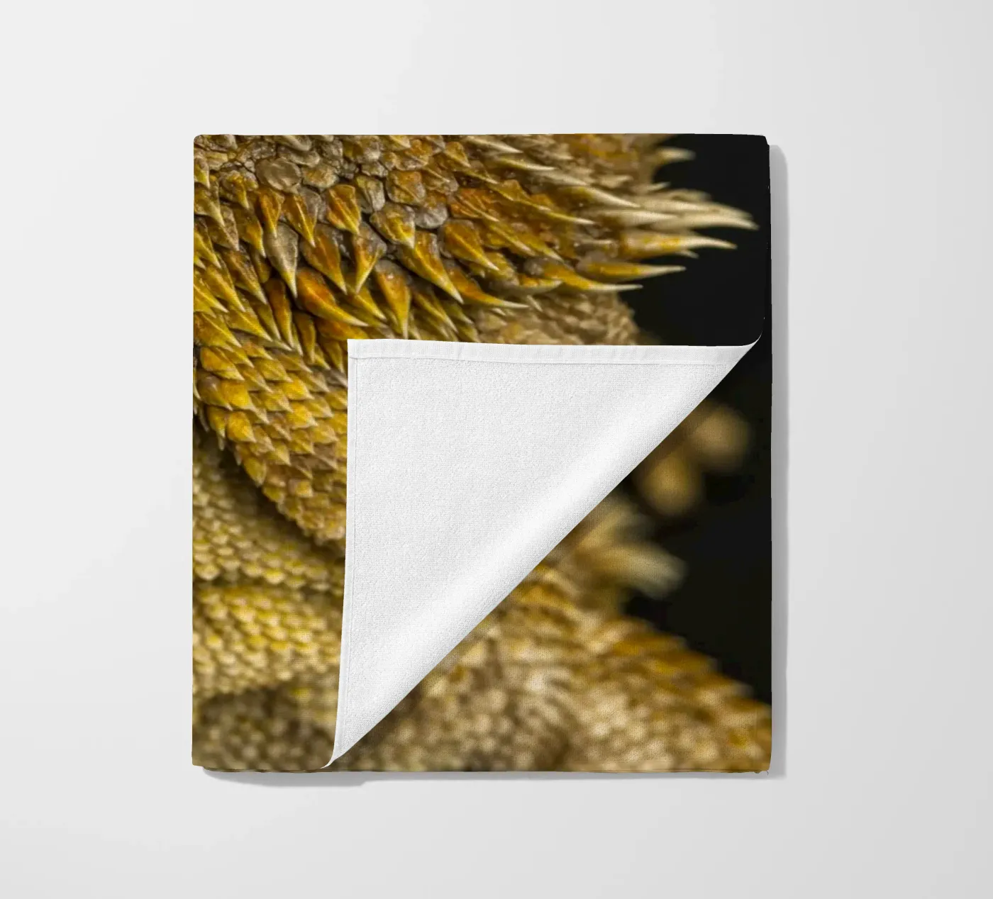Drago barbuto telo mare da Curious Collections by Marielle Leenders
