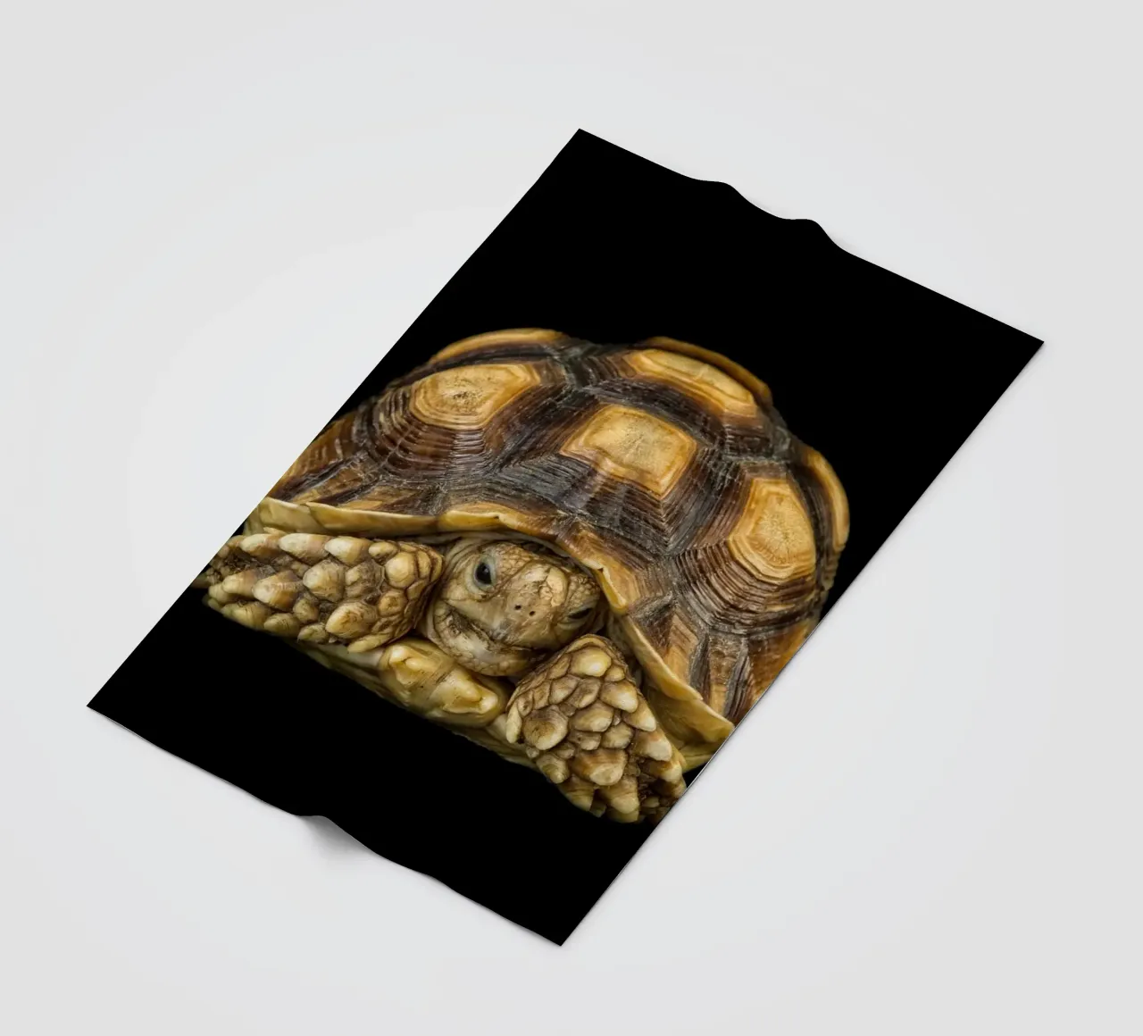 Land Turtle fleece blanket by Curious Collections by Marielle Leenders
