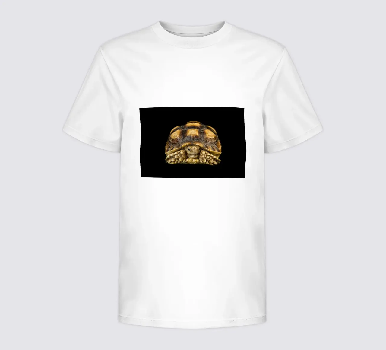 Landschildpad kinder t-shirt van Curious Collections by Marielle Leenders