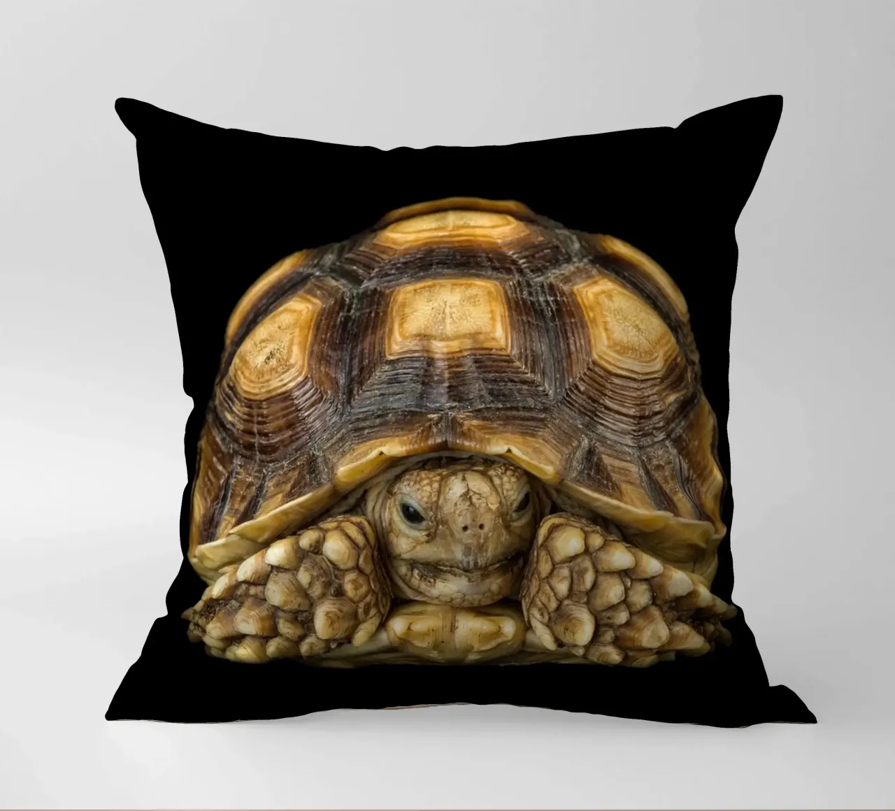 Tartaruga di terra cuscino da Curious Collections by Marielle Leenders