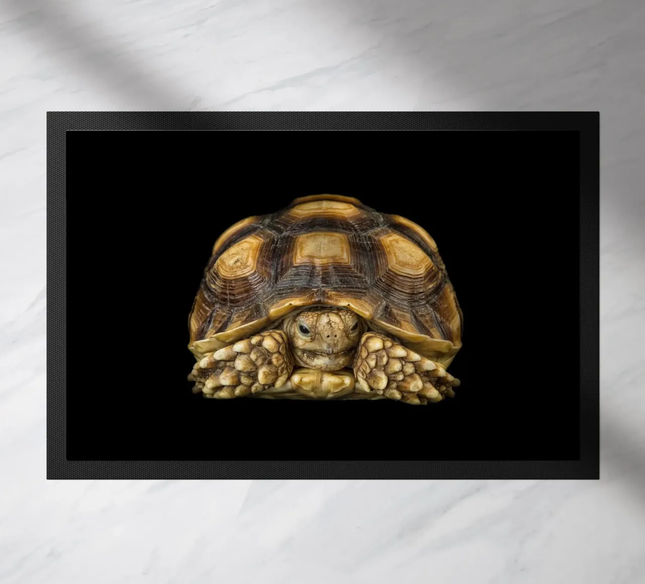 Land Turtle doormat by Curious Collections by Marielle Leenders