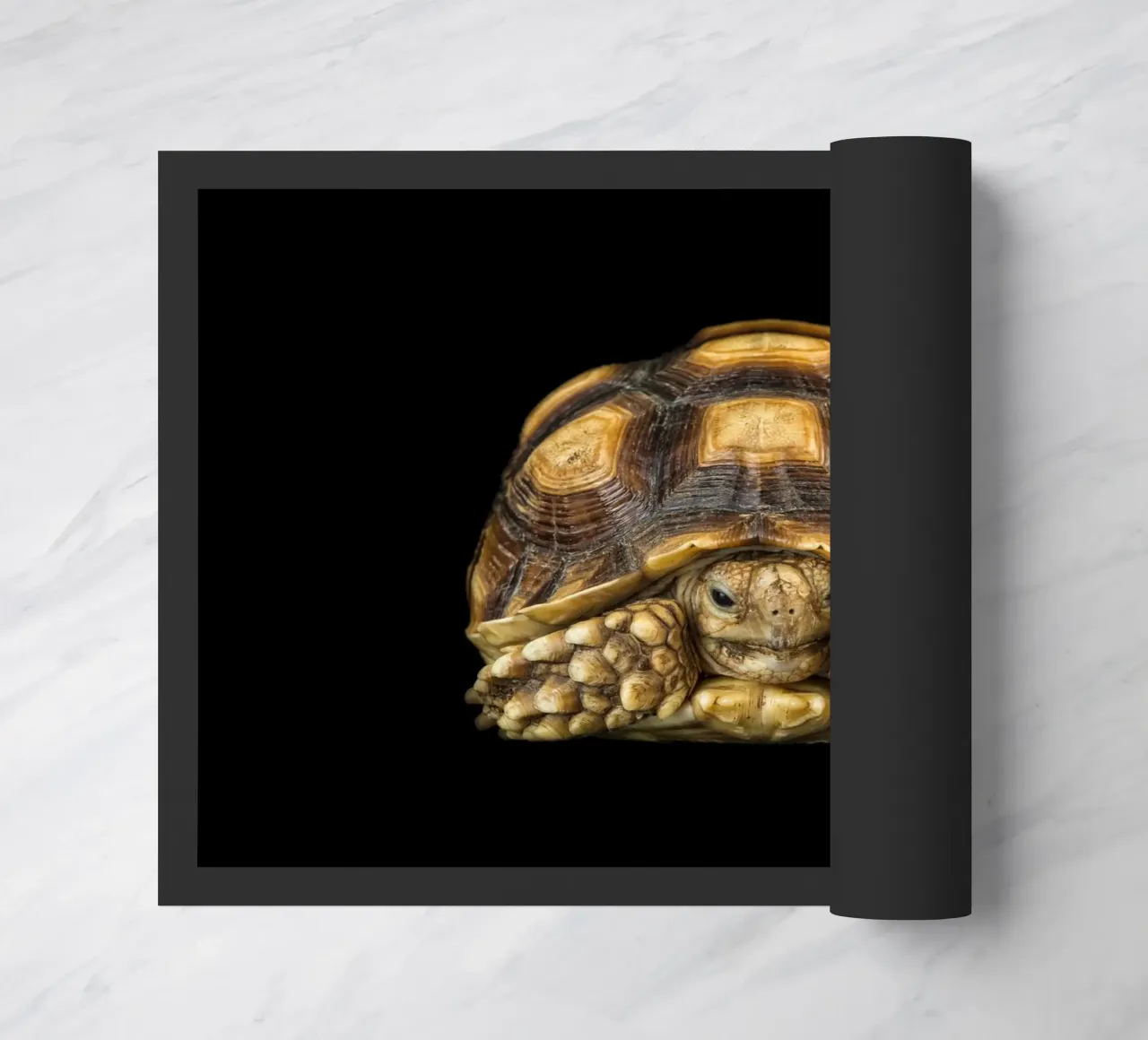 Land Turtle doormat by Curious Collections by Marielle Leenders