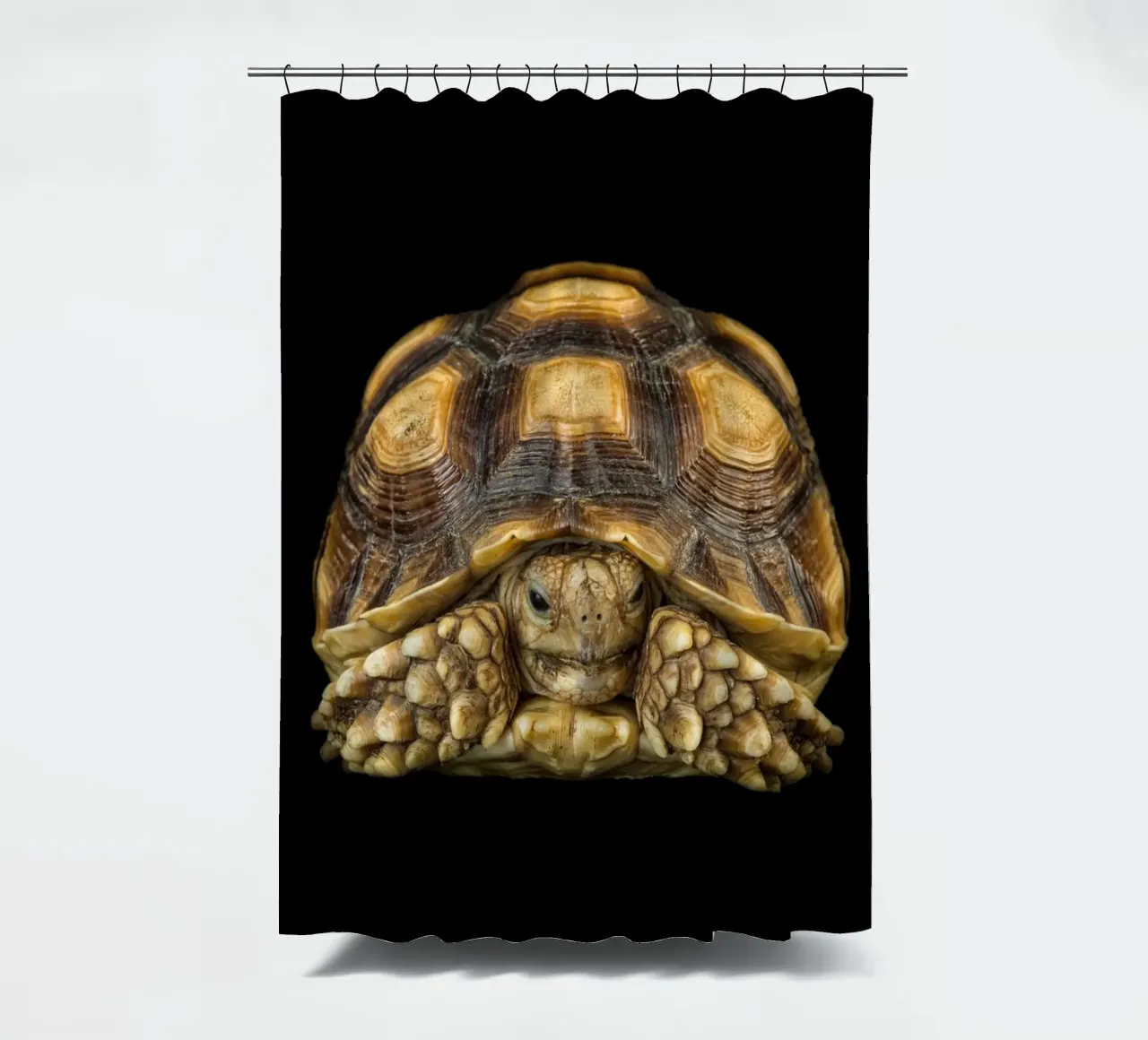 Land Turtle shower curtain by Curious Collections by Marielle Leenders