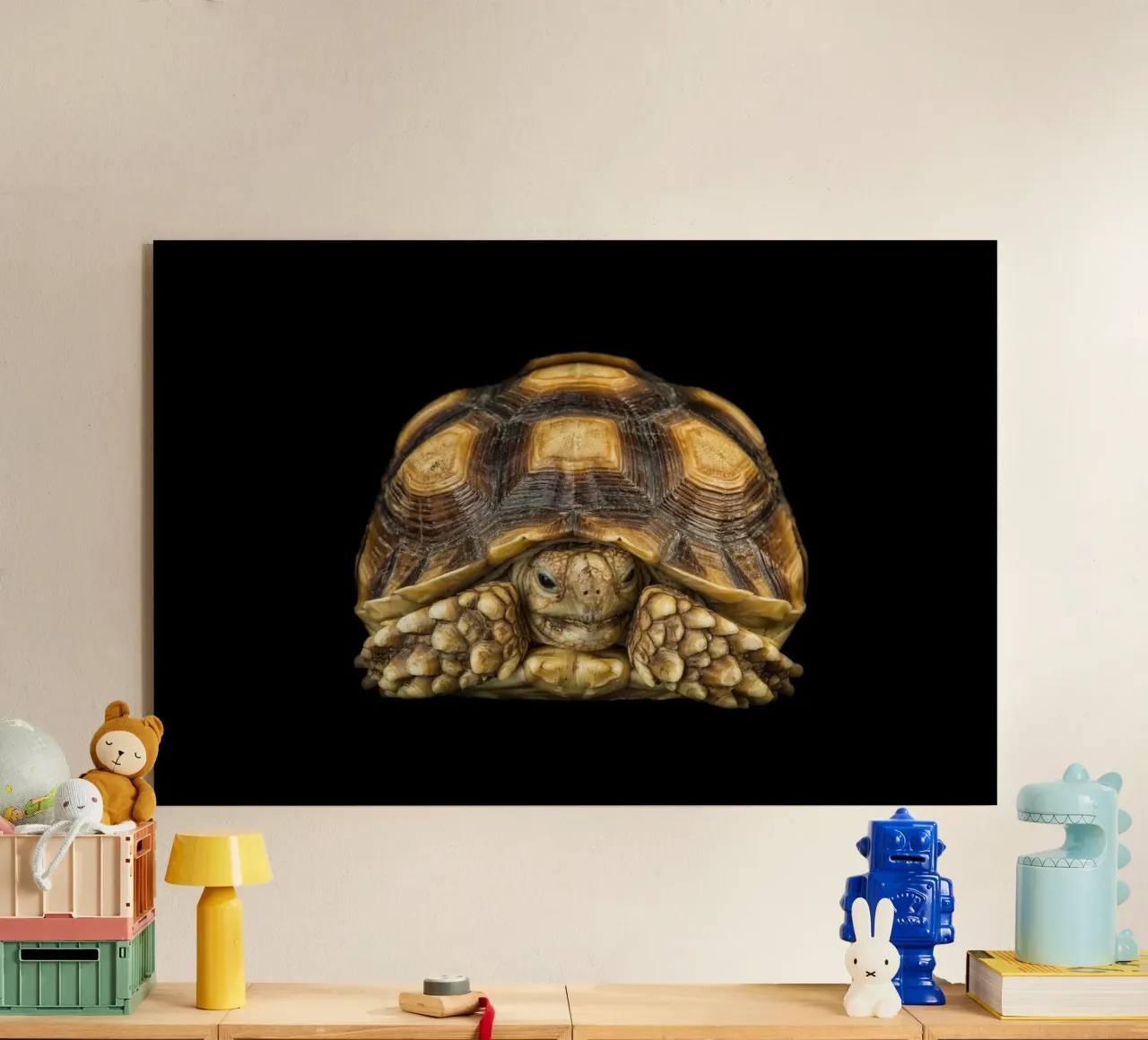 Landschildkröte Acryl-Glas von Curious Collections by Marielle Leenders