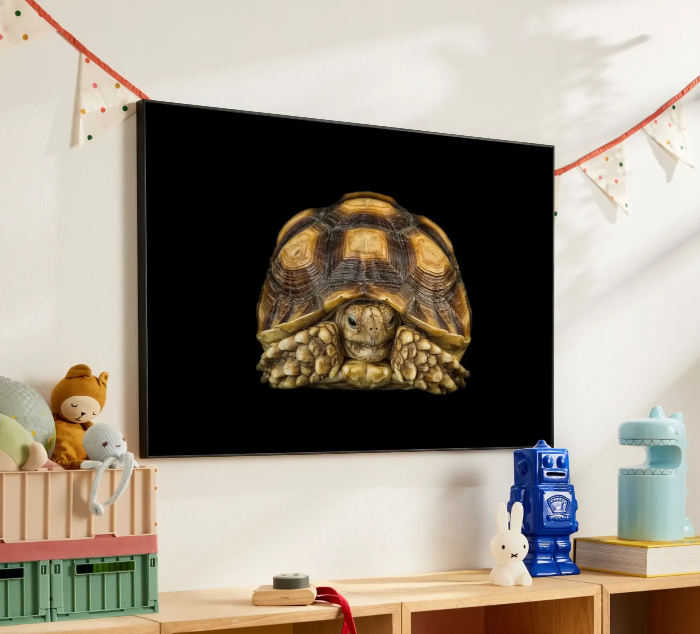 Land Turtle forex plate by Curious Collections by Marielle Leenders