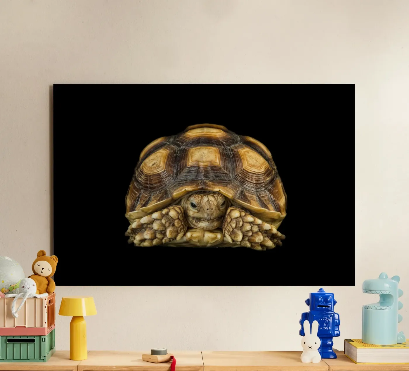 Land Turtle forex plate by Curious Collections by Marielle Leenders