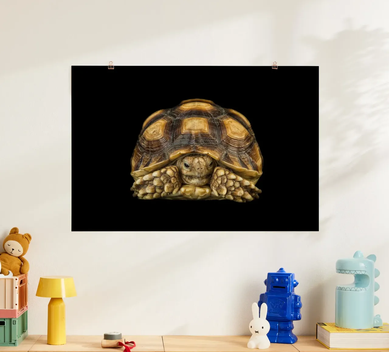 Land Turtle poster by Curious Collections by Marielle Leenders