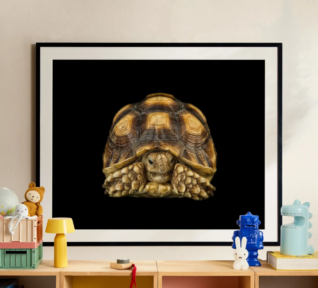 Land Turtle poster by Curious Collections by Marielle Leenders