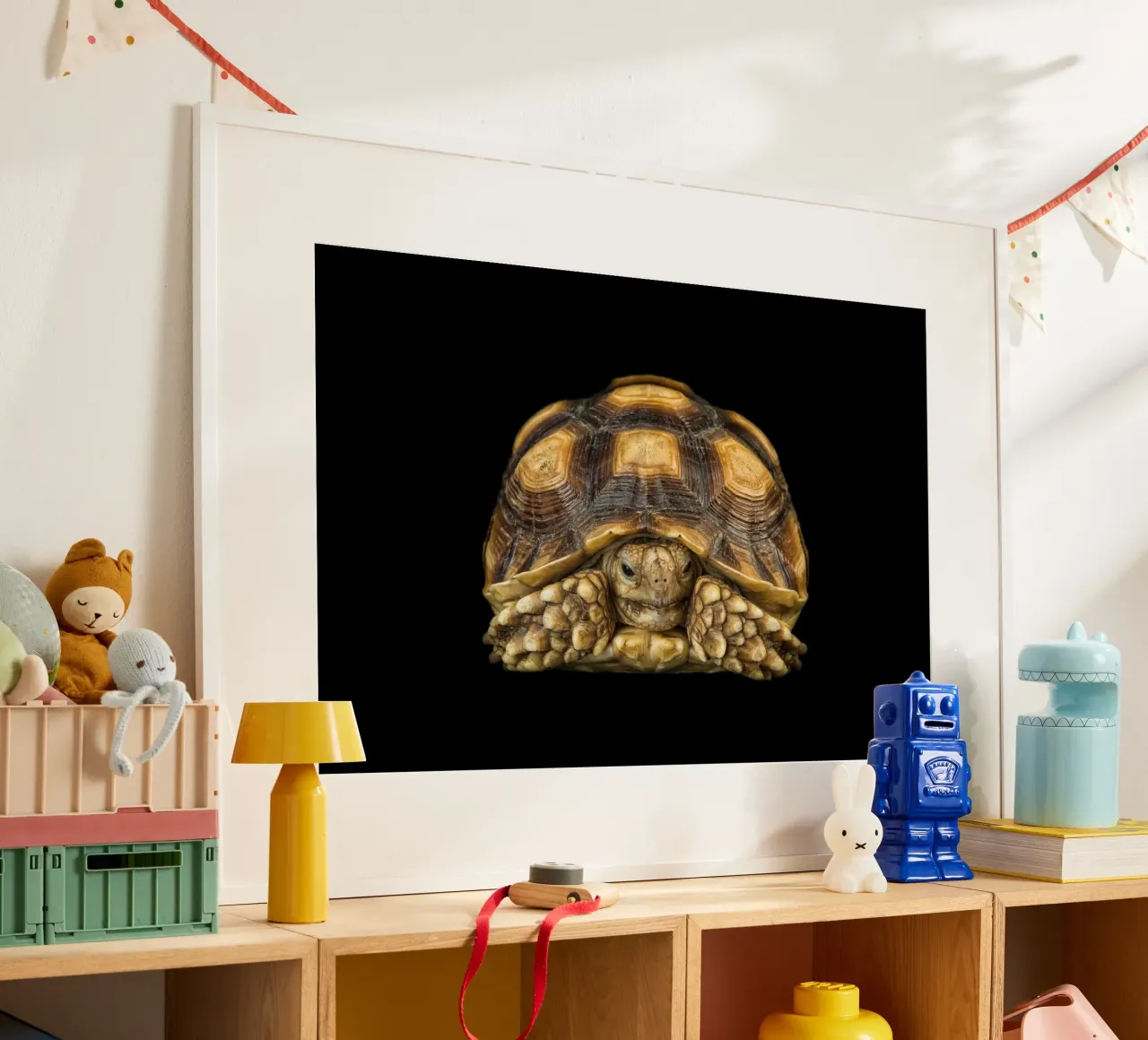 Land Turtle poster by Curious Collections by Marielle Leenders