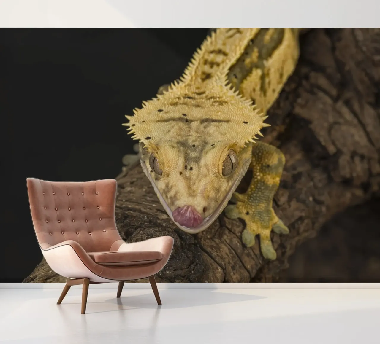 Crested Gecko photo wallpaper by Curious Collections by Marielle Leenders