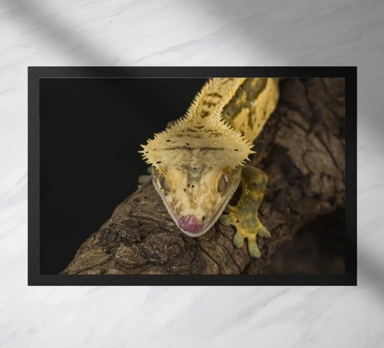 Gekko deurmat van Curious Collections by Marielle Leenders