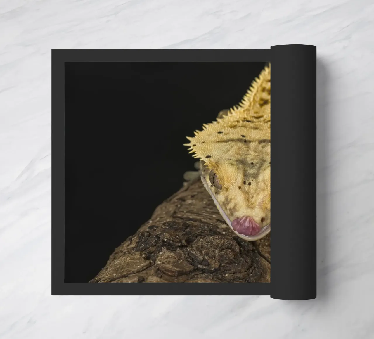Gekko deurmat van Curious Collections by Marielle Leenders