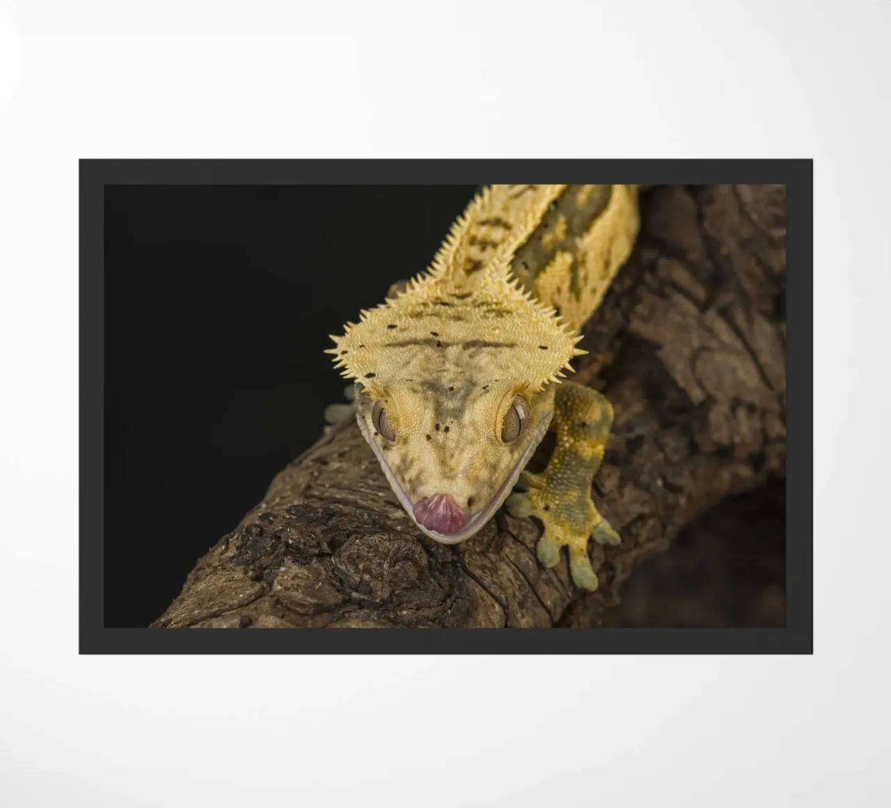 Gekko deurmat van Curious Collections by Marielle Leenders