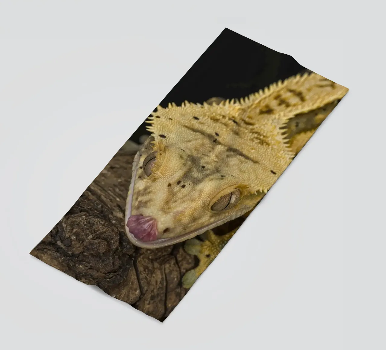 Geco crestato telo mare da Curious Collections by Marielle Leenders