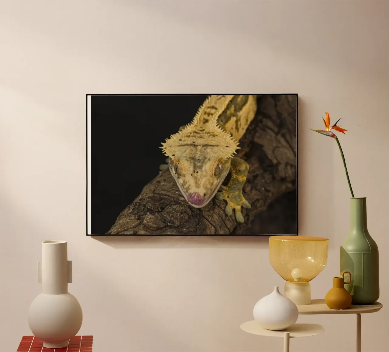 Geco crestato plexiglass da Curious Collections by Marielle Leenders