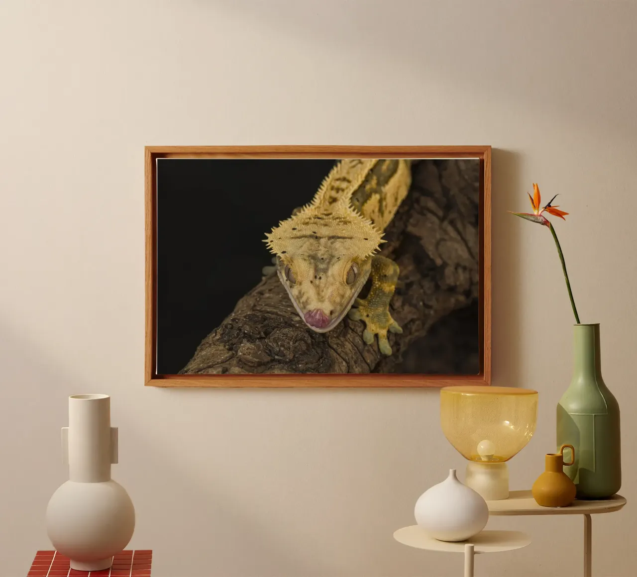 Geco crestato tela con Cornice a cassetta da Curious Collections by Marielle Leenders