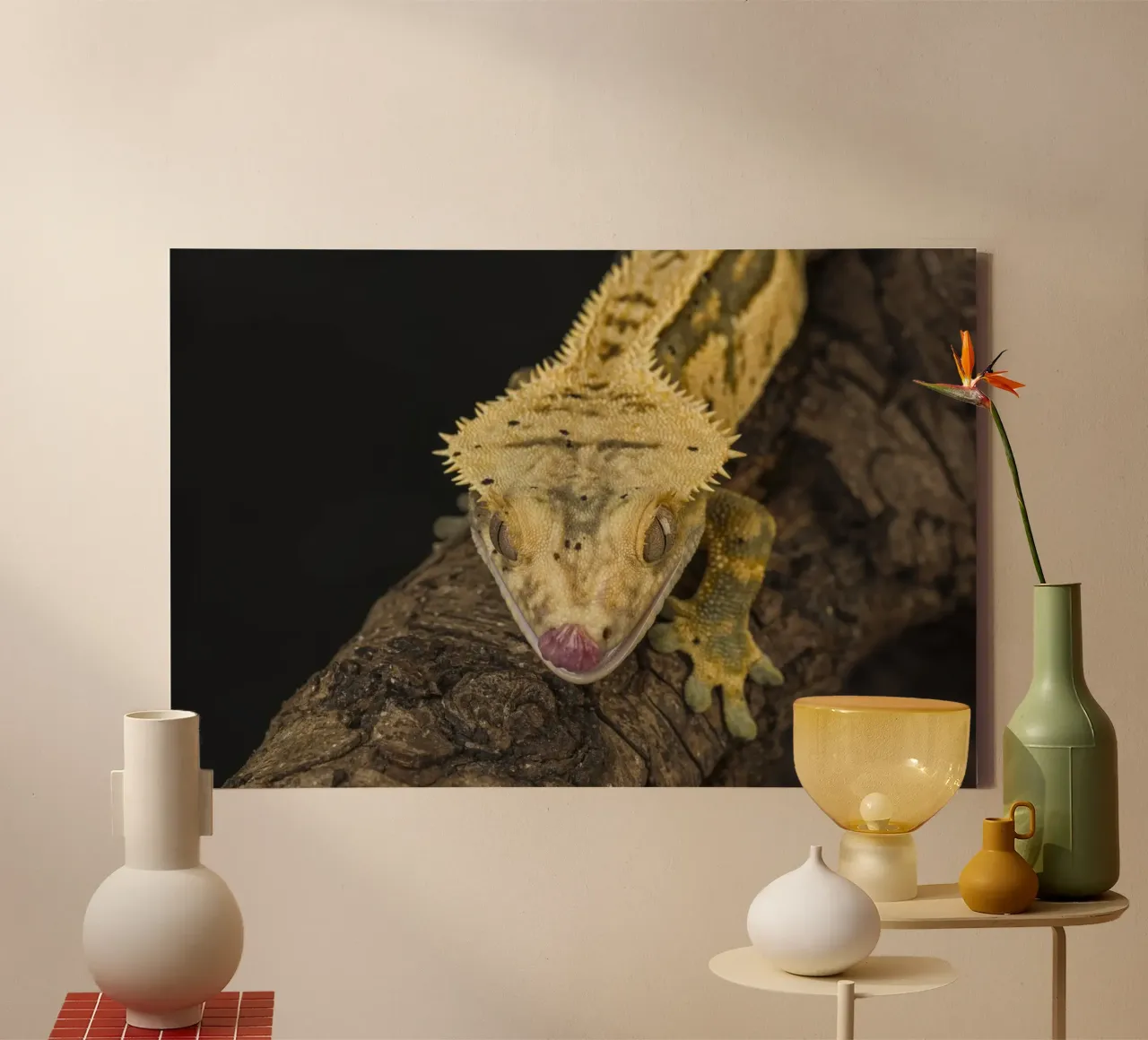 Geco crestato tela con Cornice a cassetta da Curious Collections by Marielle Leenders